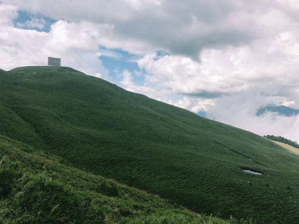 Processed with VSCO with c1 preset