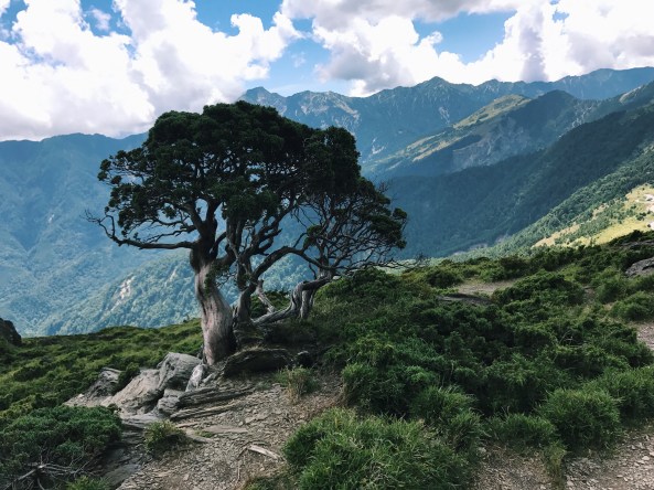 Processed with VSCO with c1 preset