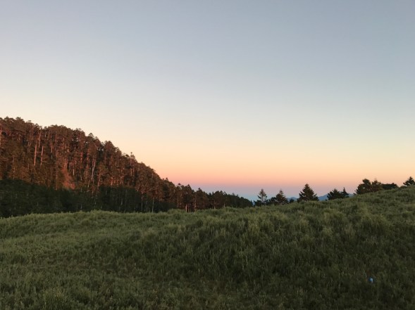 相片 2017-8-15 上午5 26 01