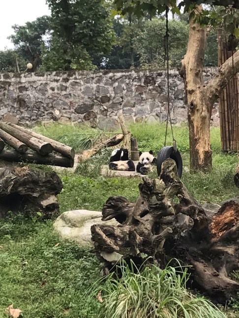 相片 2017-10-17 上午10 16 10