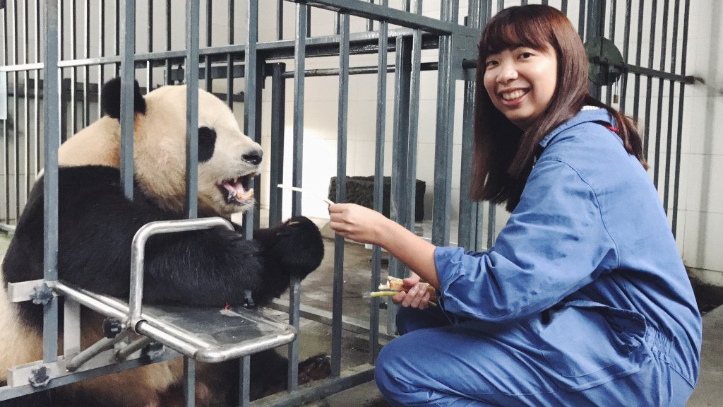 四川 SICHUAN –&nbsp;熊貓基地志工