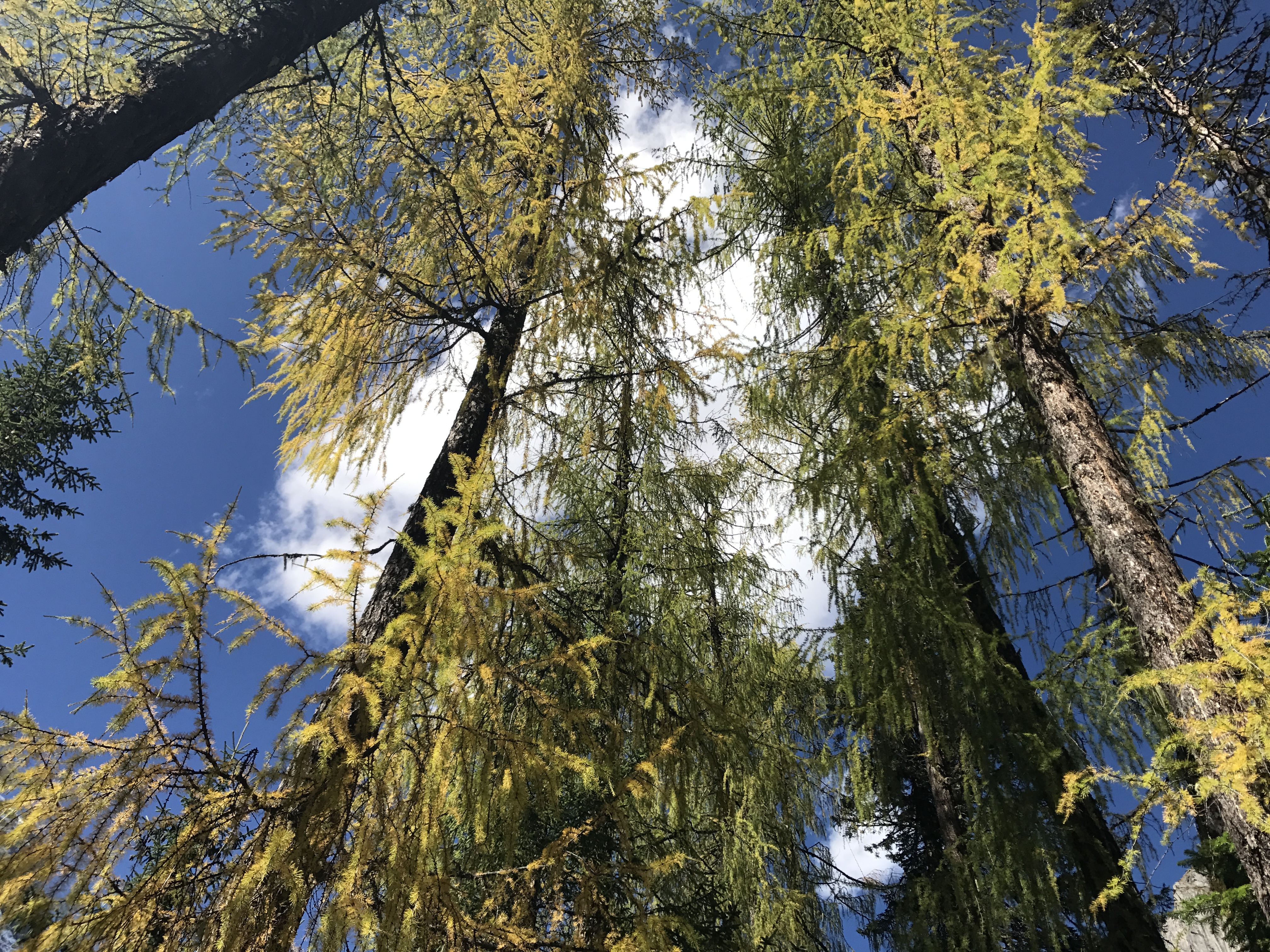 相片 2017-10-18 下午2 38 44