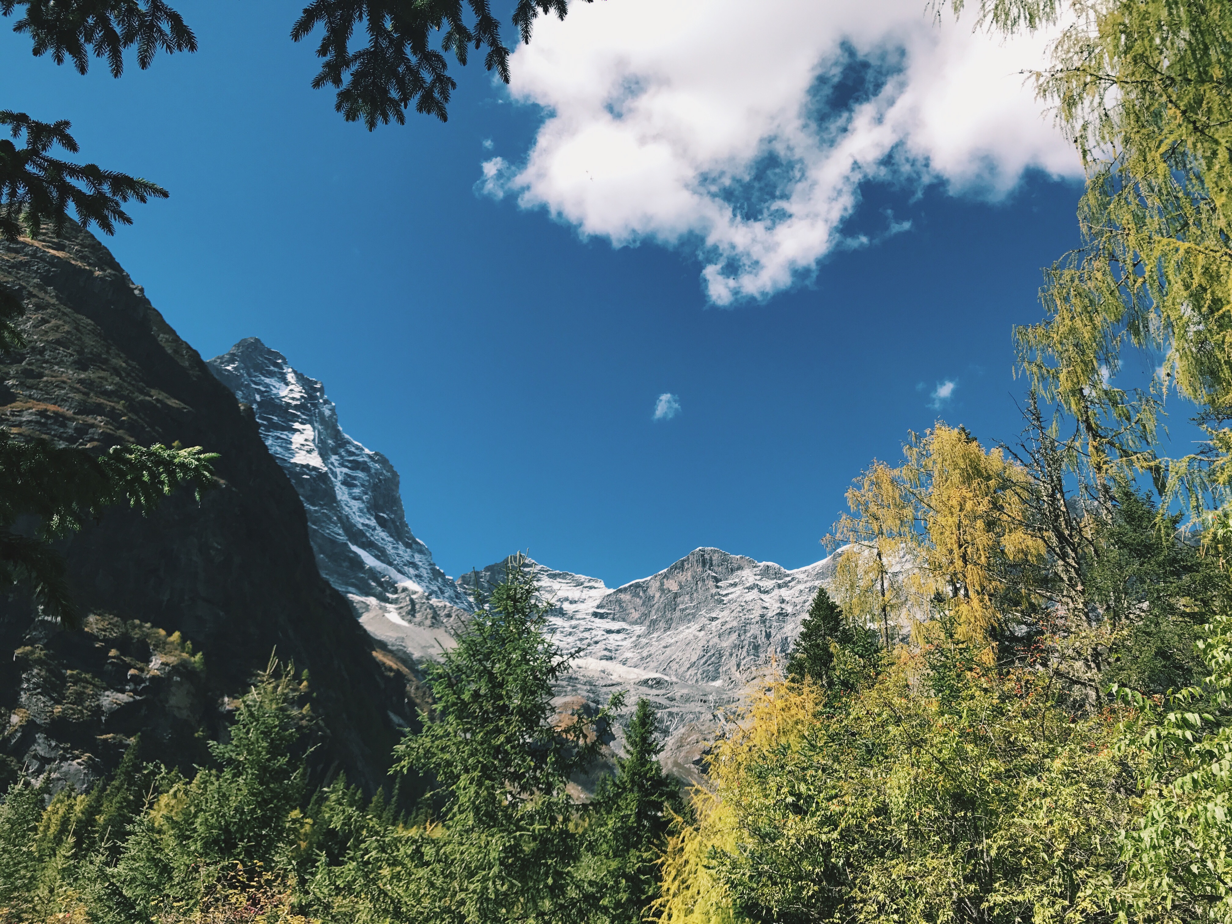 Processed with VSCO with c1 preset