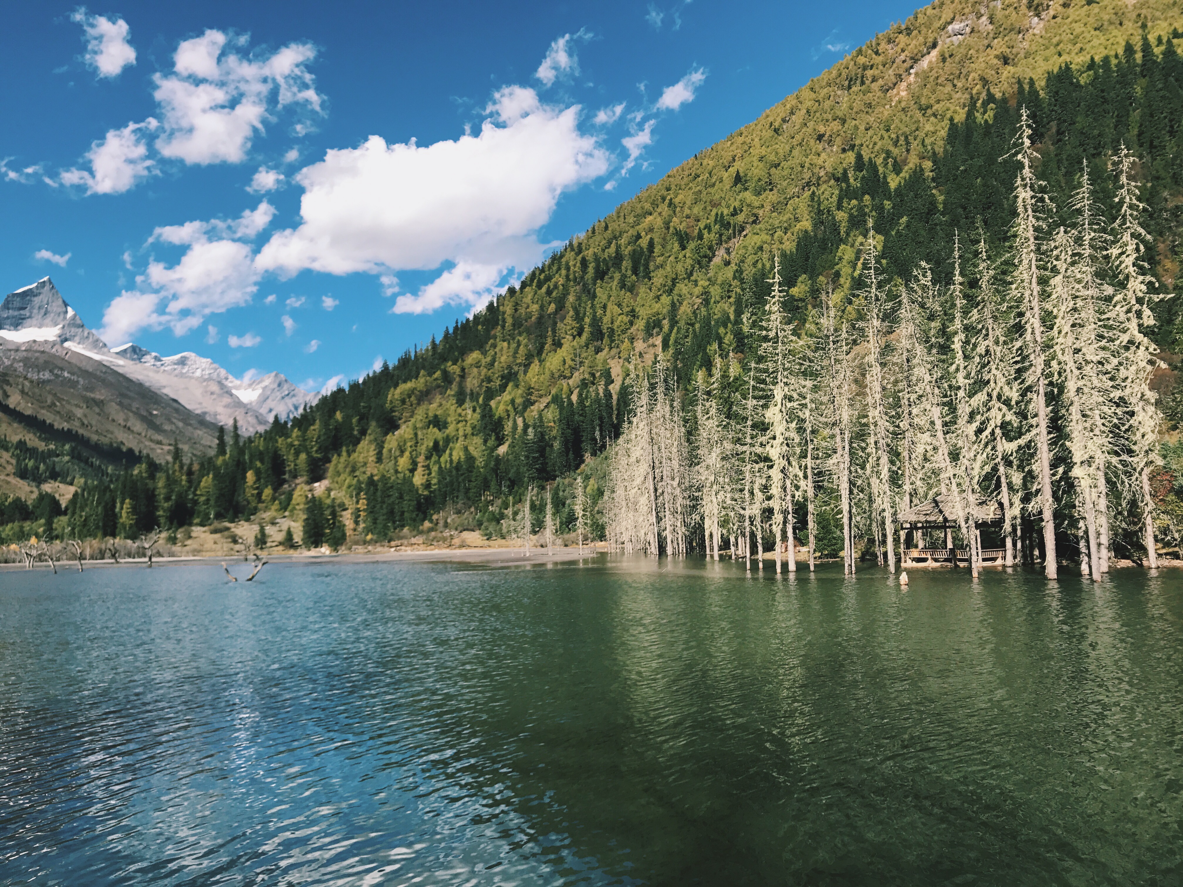 Processed with VSCO with c1 preset