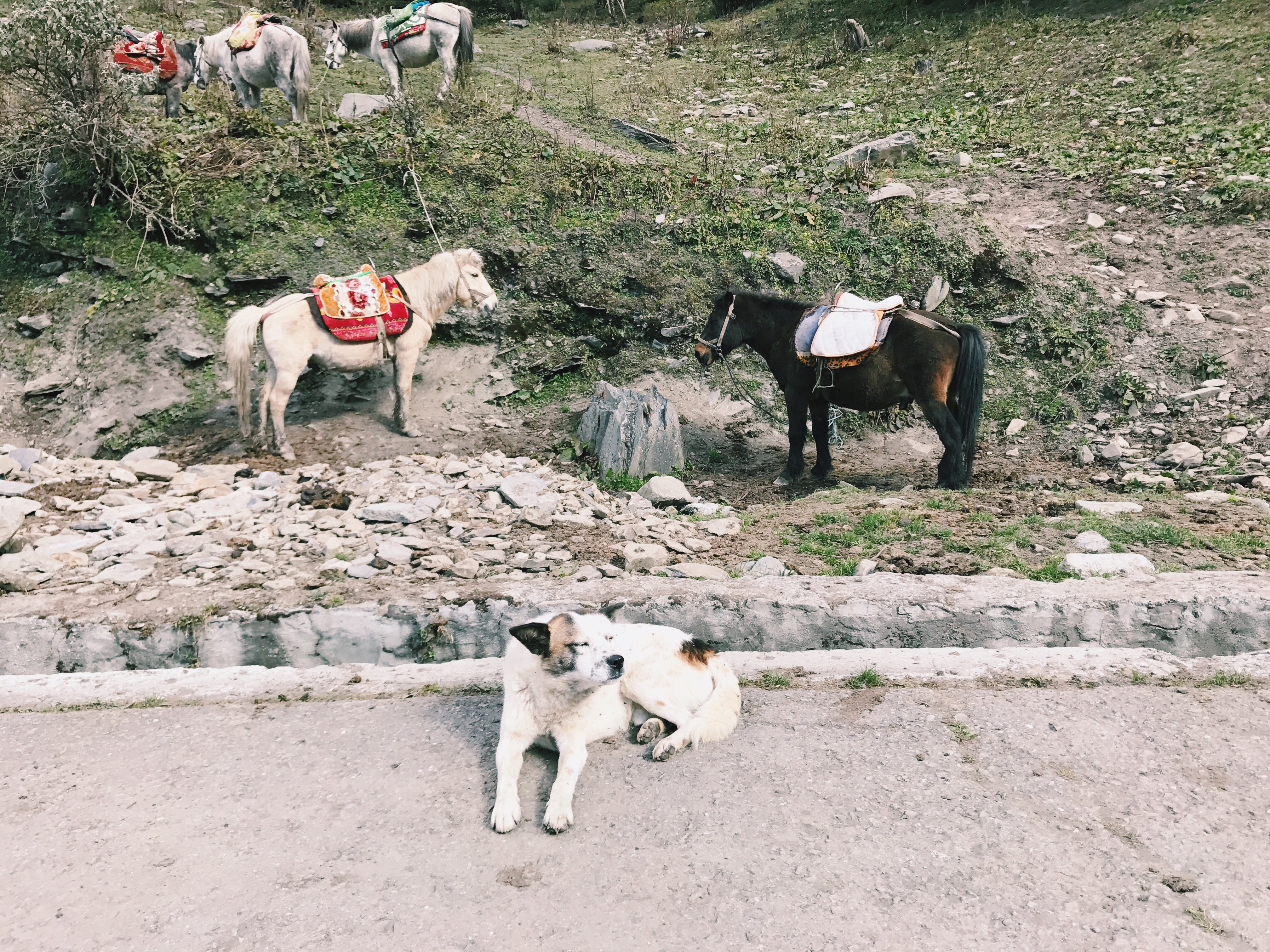 Processed with VSCO with c1 preset