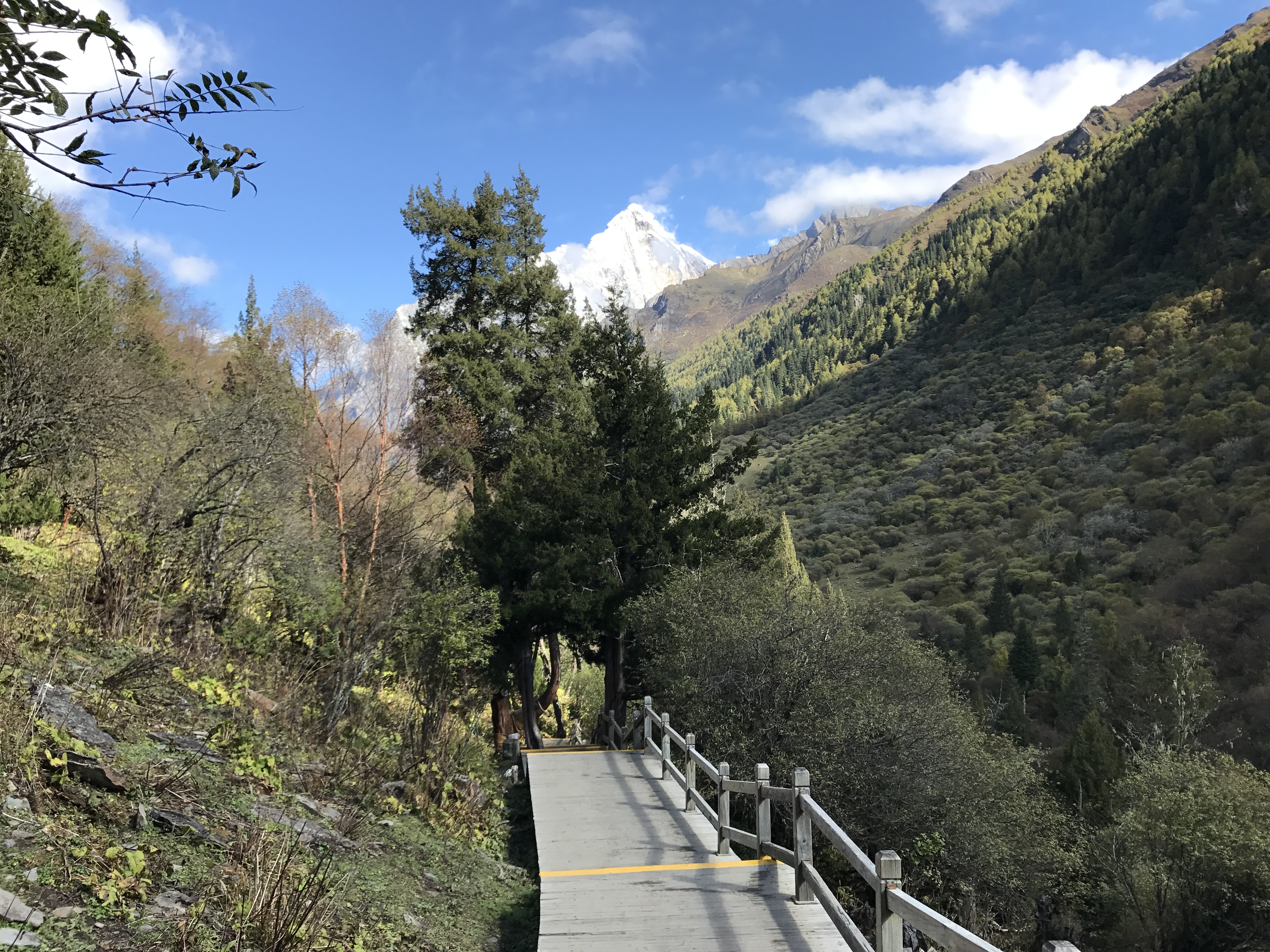 相片 2017-10-19 上午11 00 17