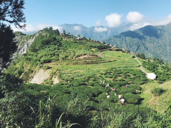 Processed with VSCO with f2 preset