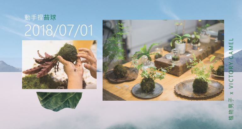 植物男子banner