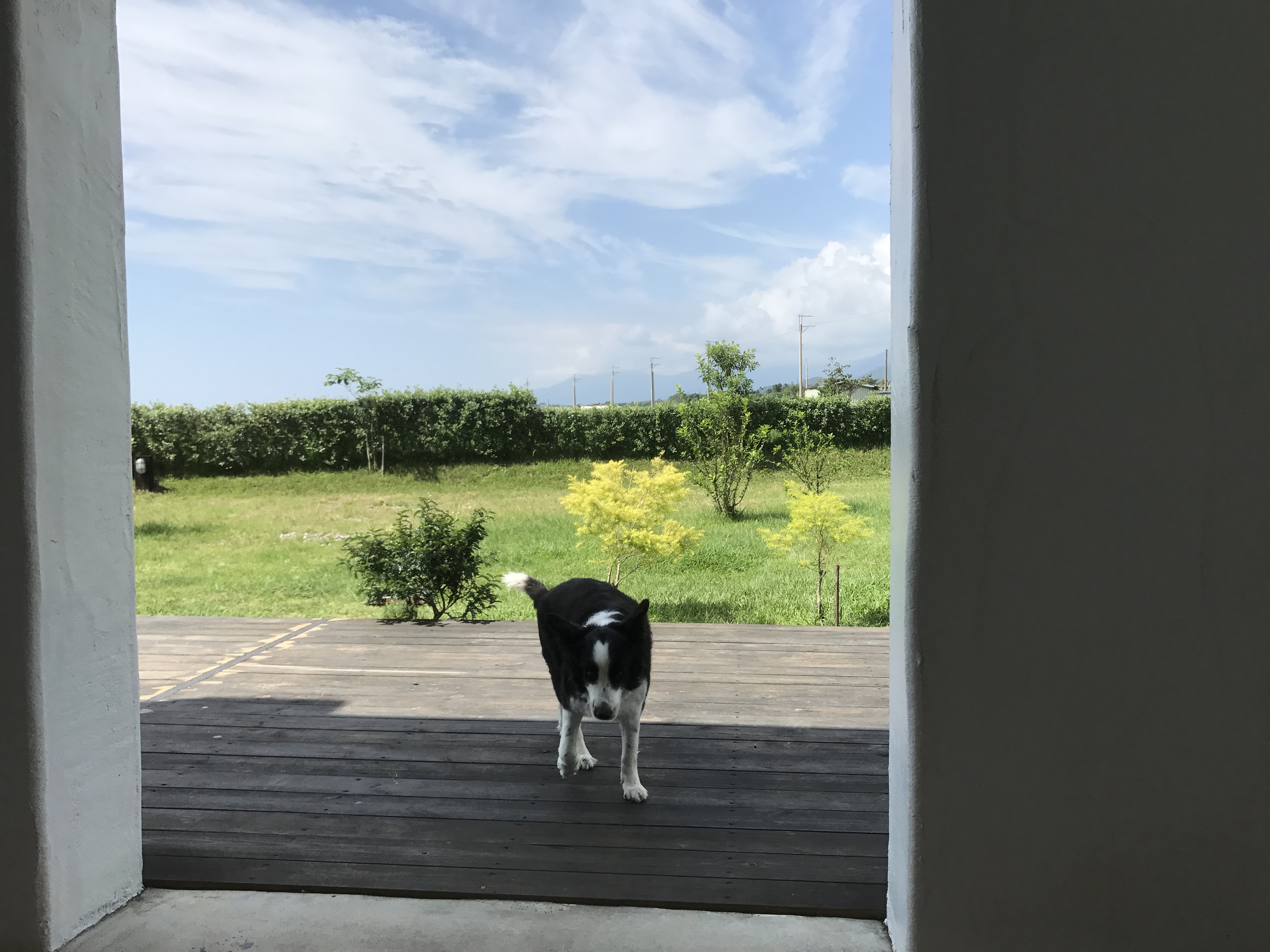 相片 2018-5-1 上午9 32 58