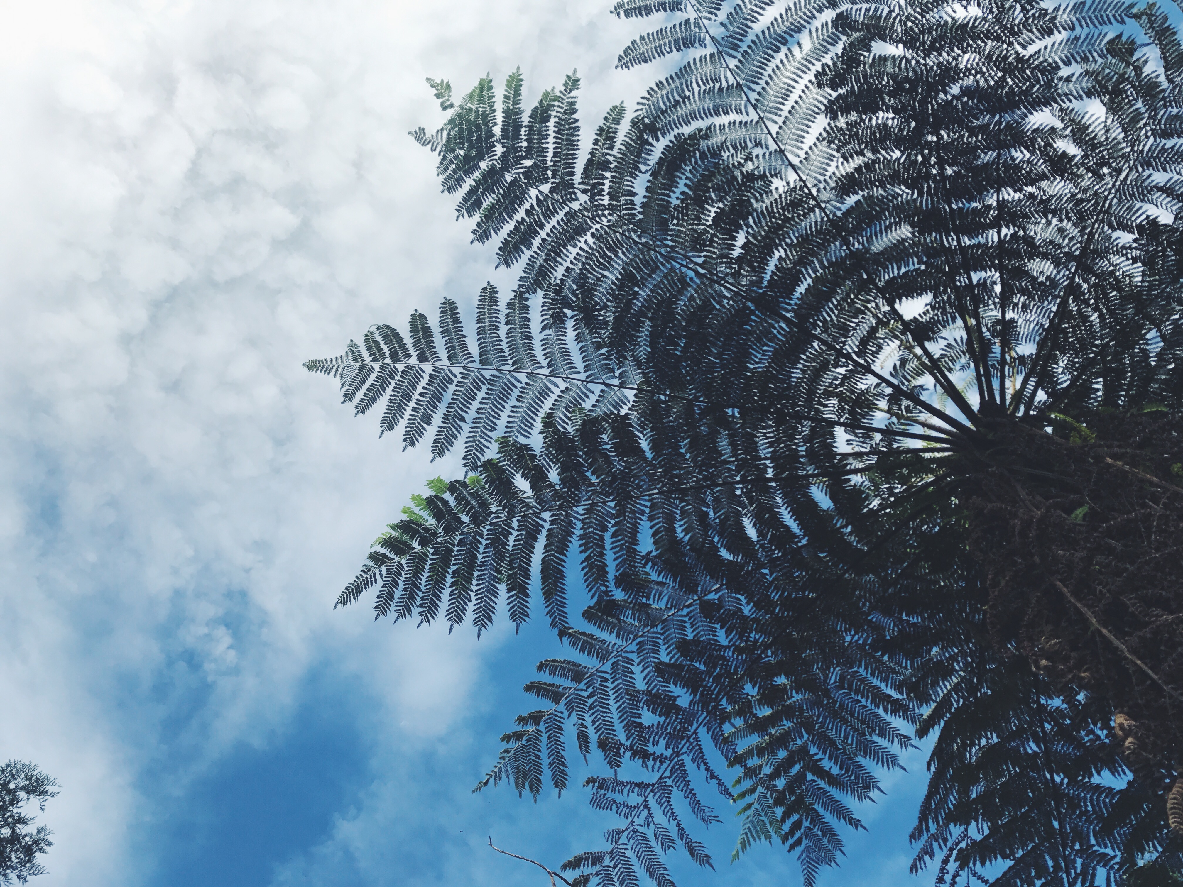 Processed with VSCO with f2 preset