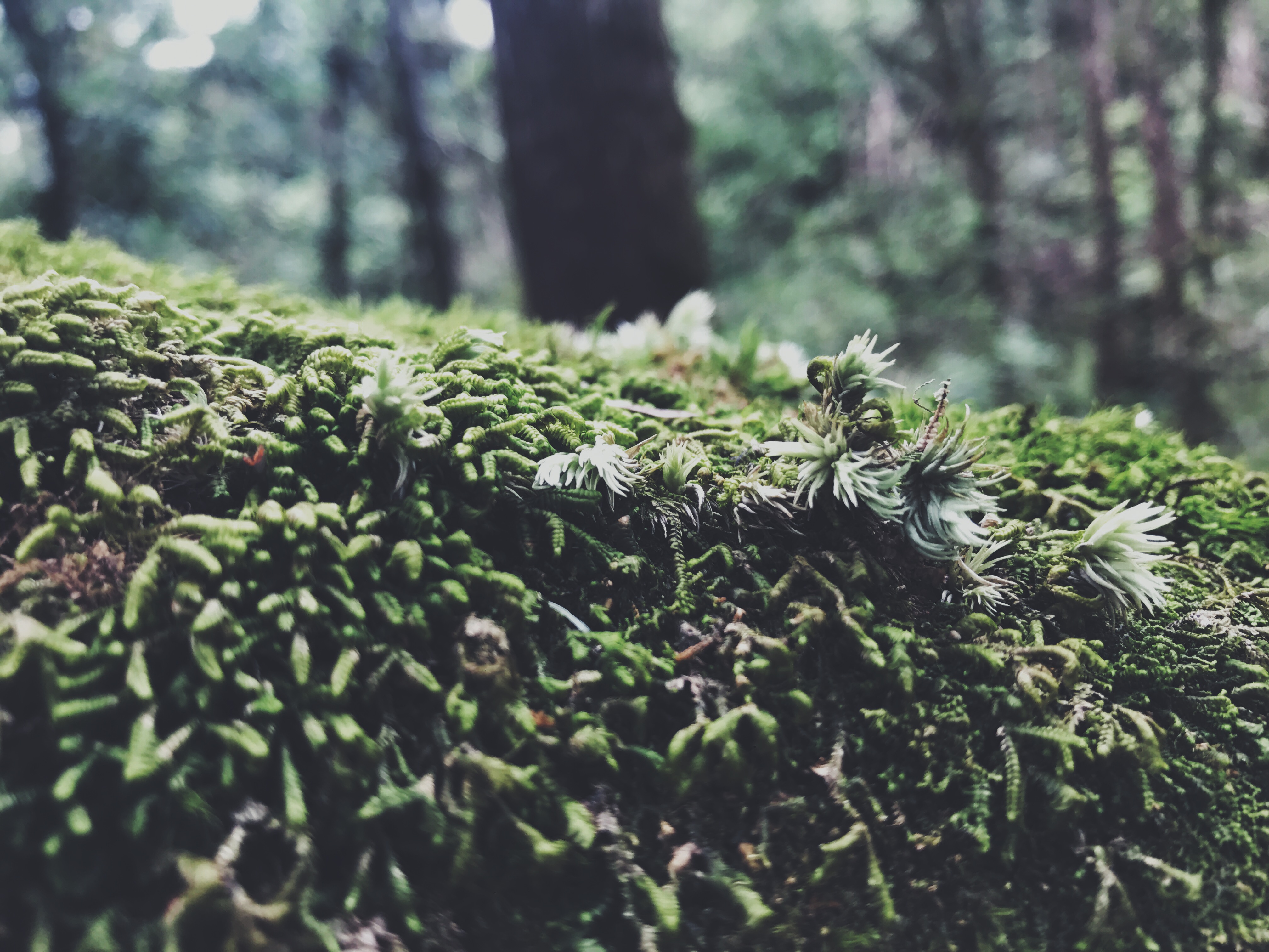 Processed with VSCO with f2 preset