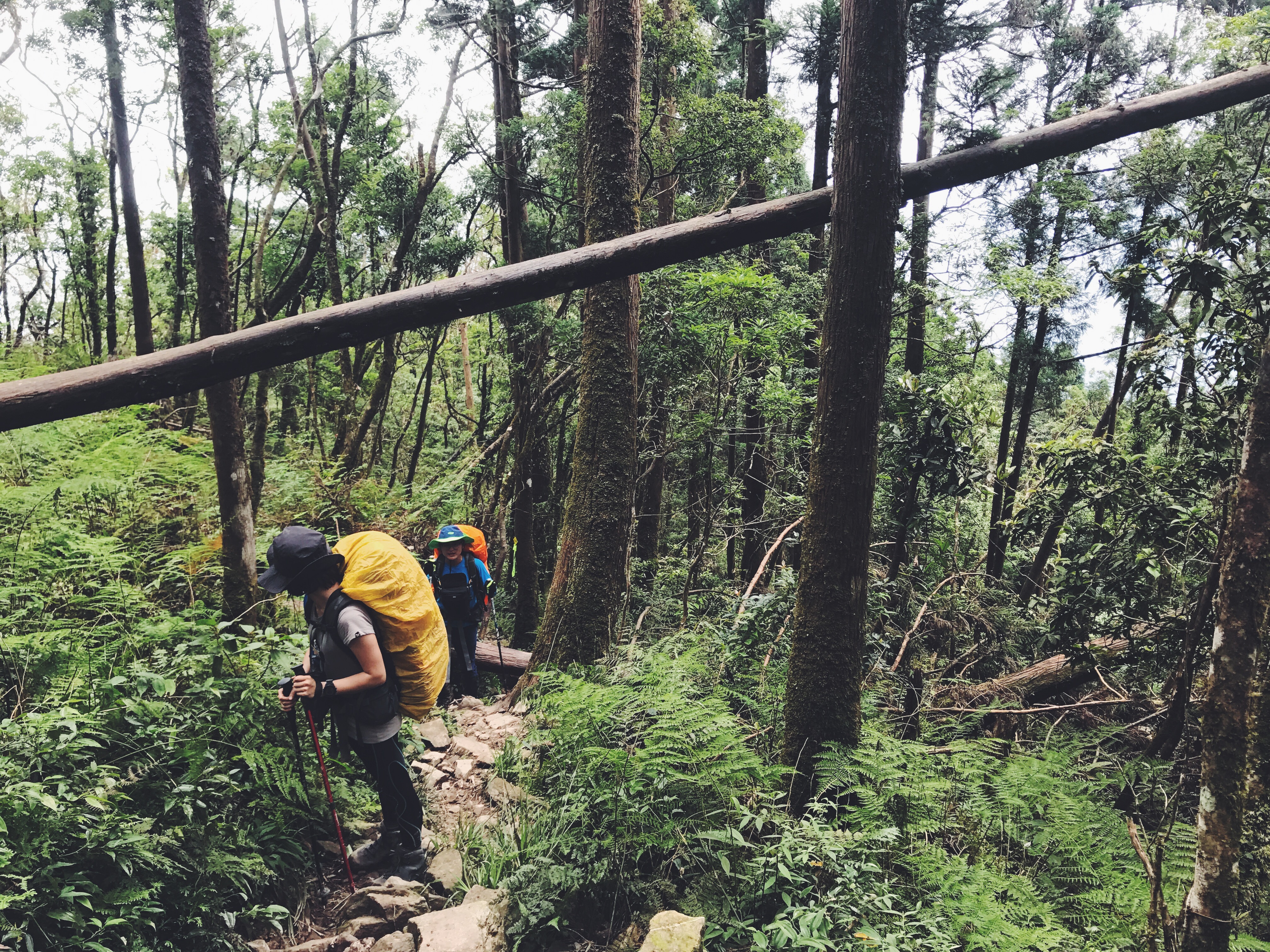 Processed with VSCO with f2 preset