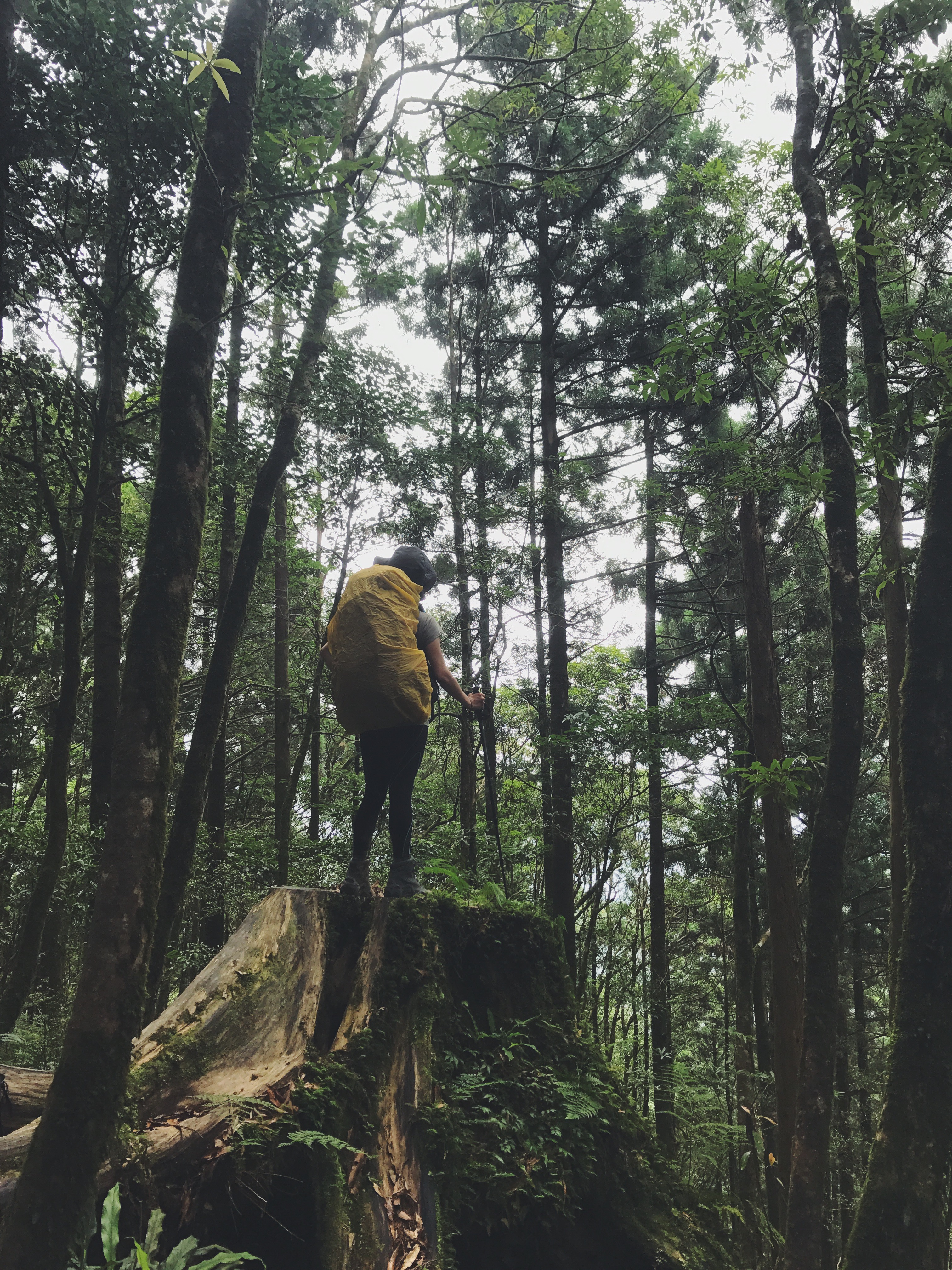 Processed with VSCO with f2 preset