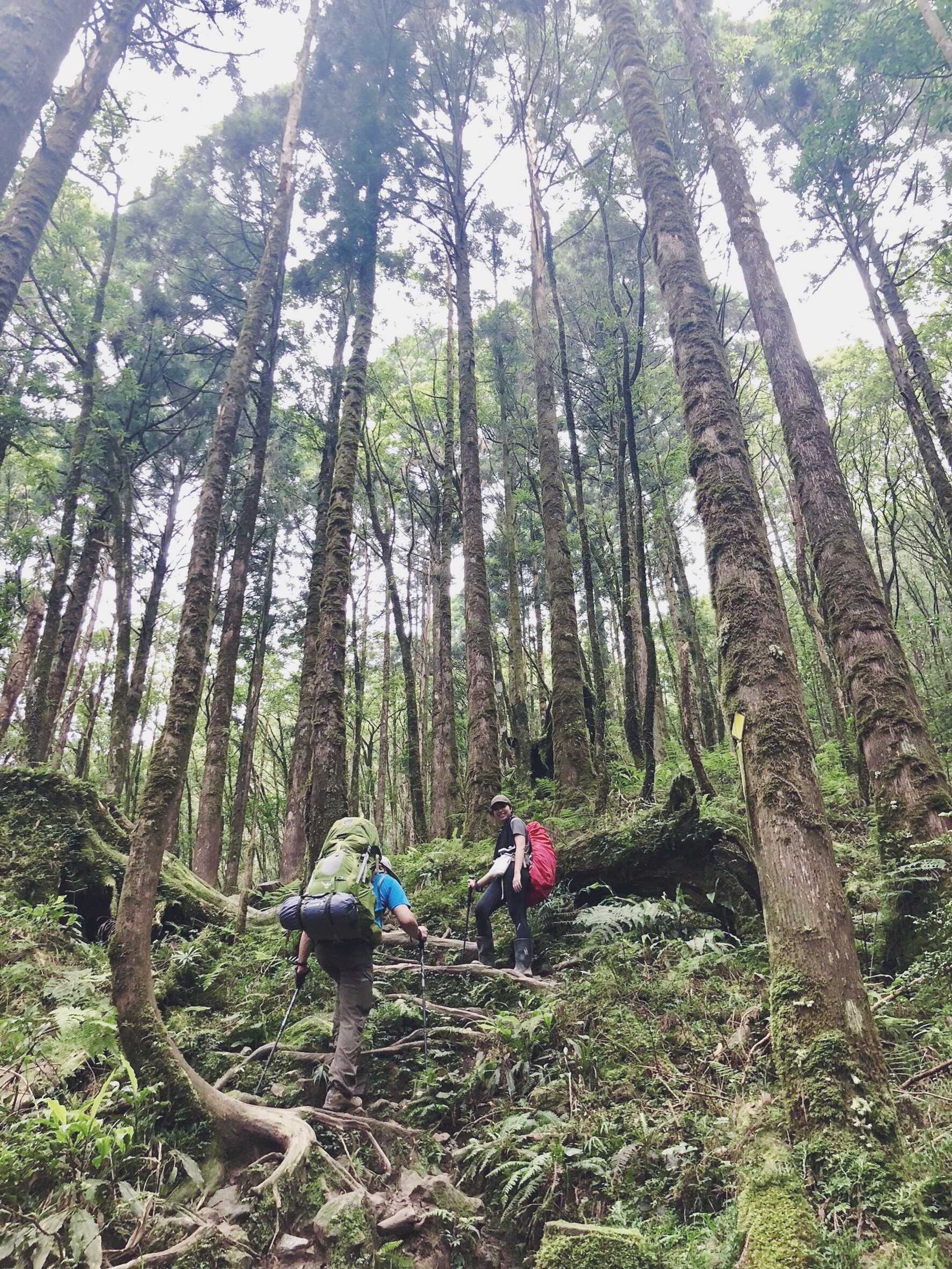 Processed with VSCO with f2 preset