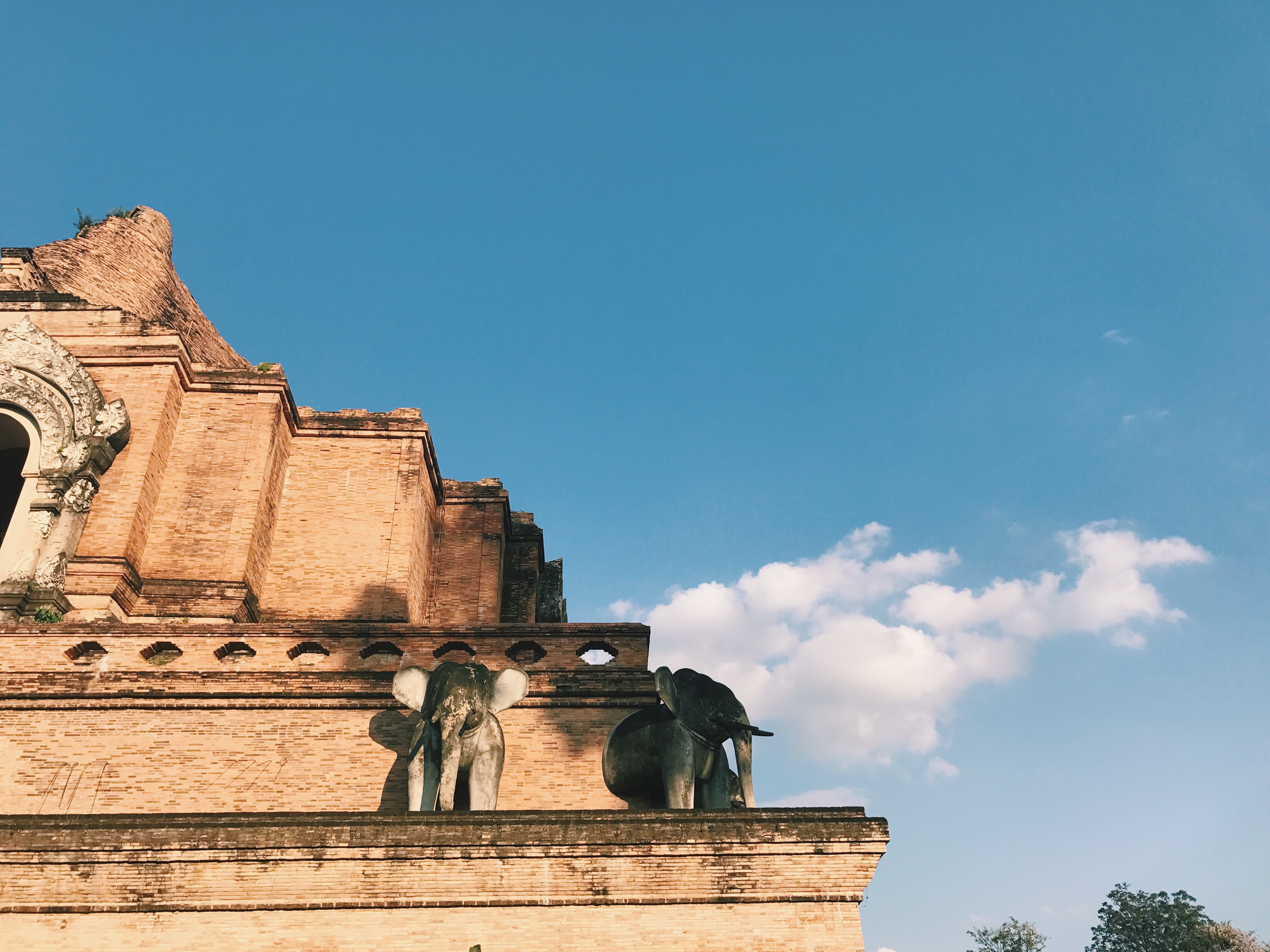 Processed with VSCO with c1 preset