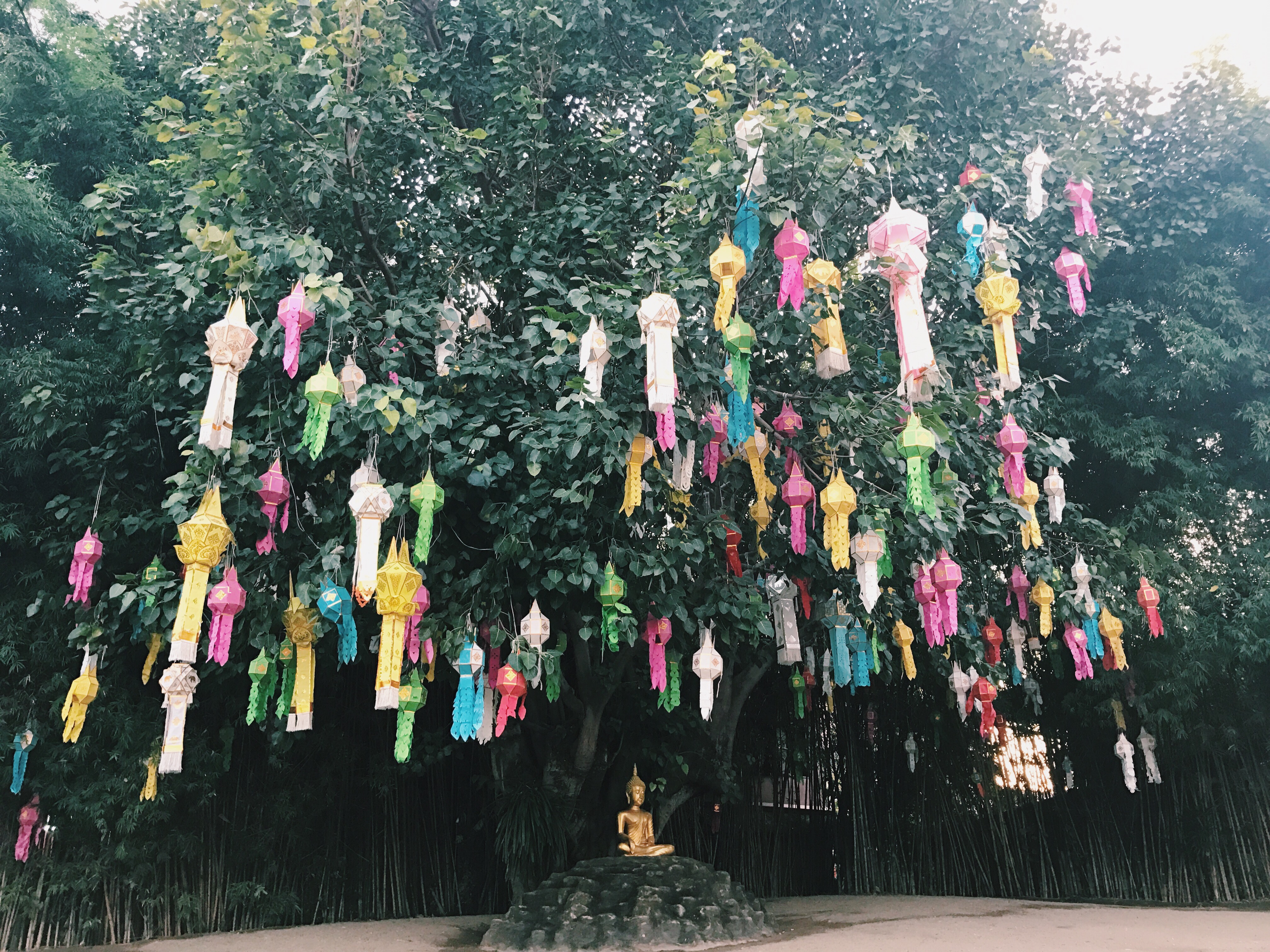 Processed with VSCO with c1 preset