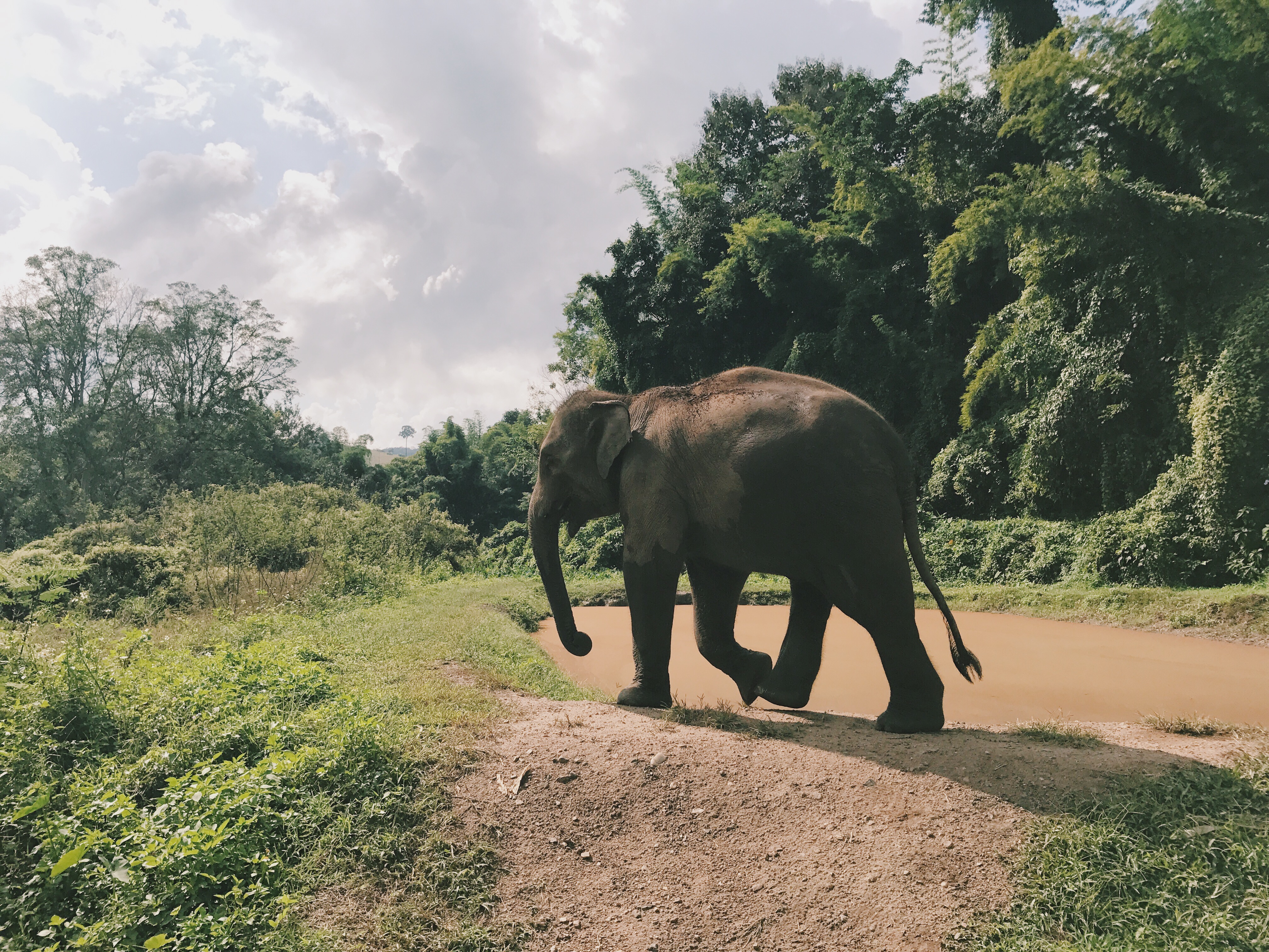 Processed with VSCO with c1 preset