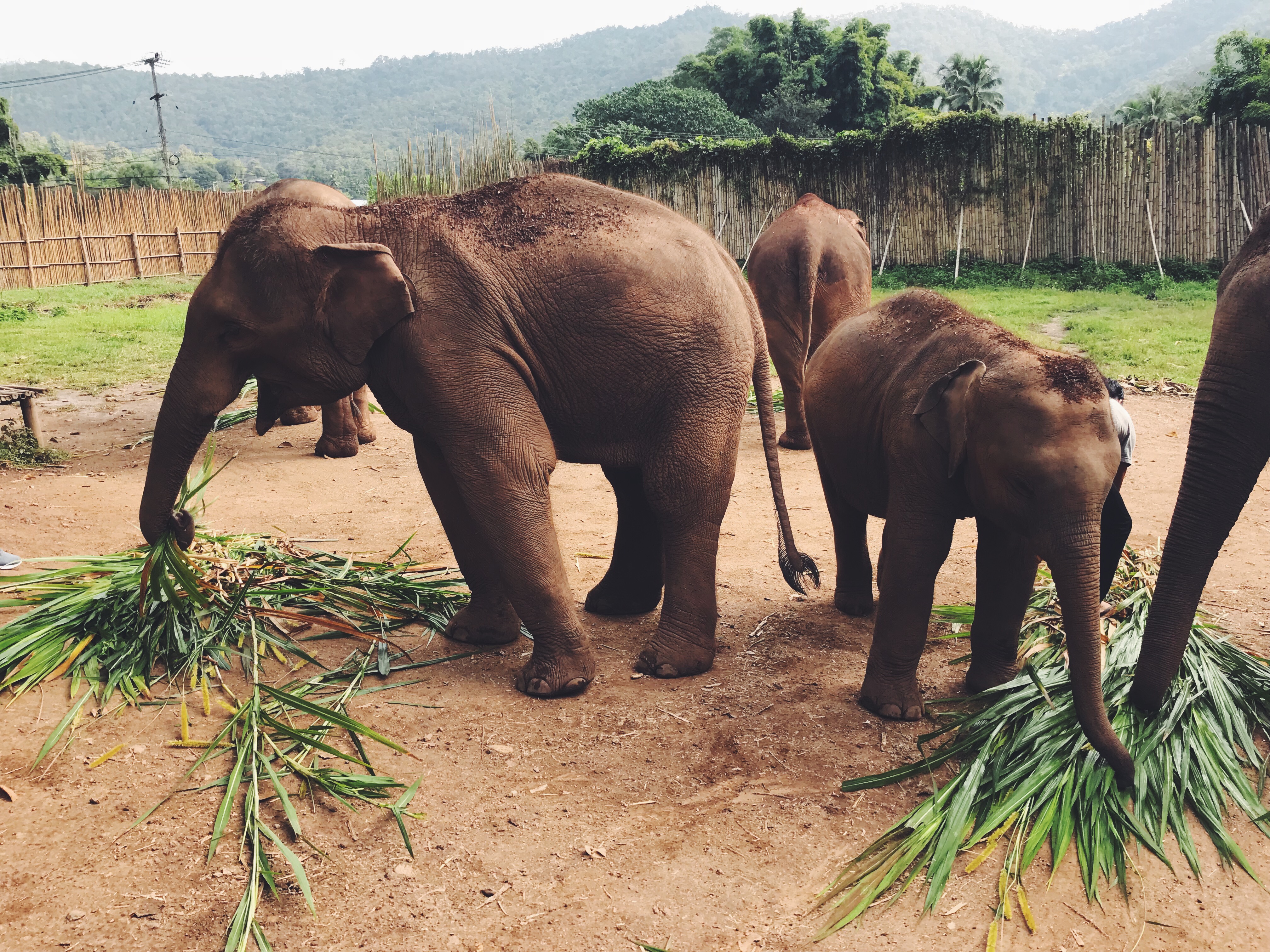 Processed with VSCO with f2 preset