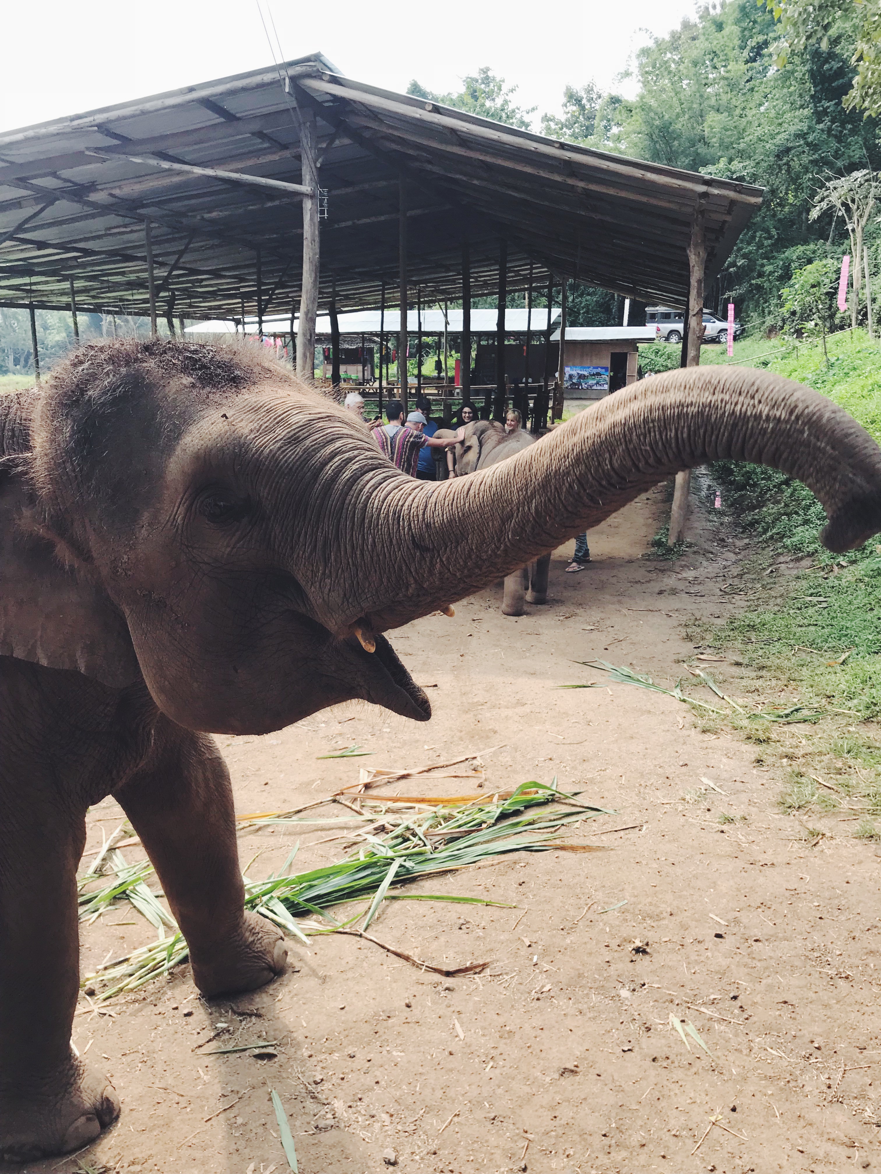 Processed with VSCO with f2 preset