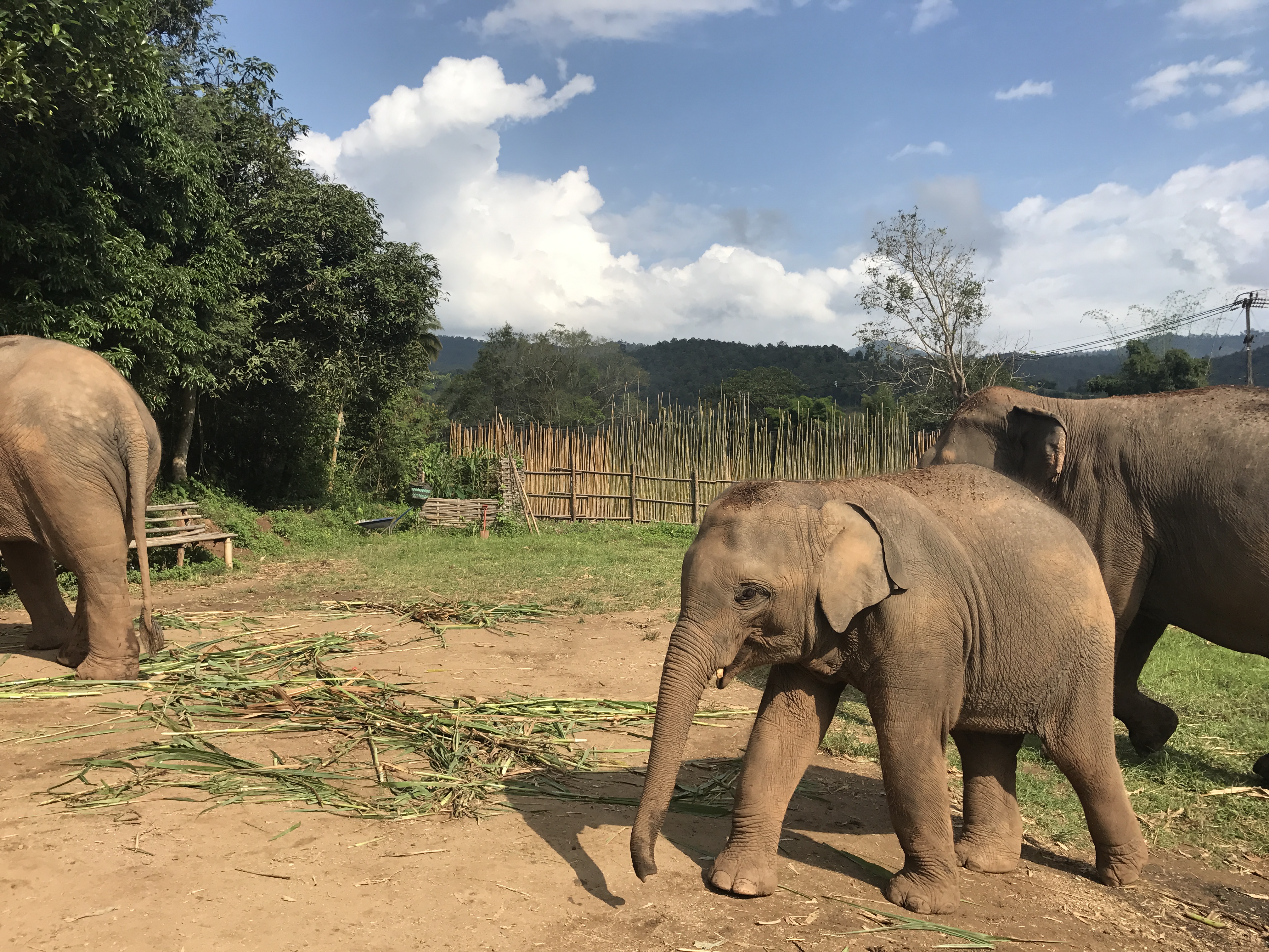 相片 2018-11-26 上午11 16 35