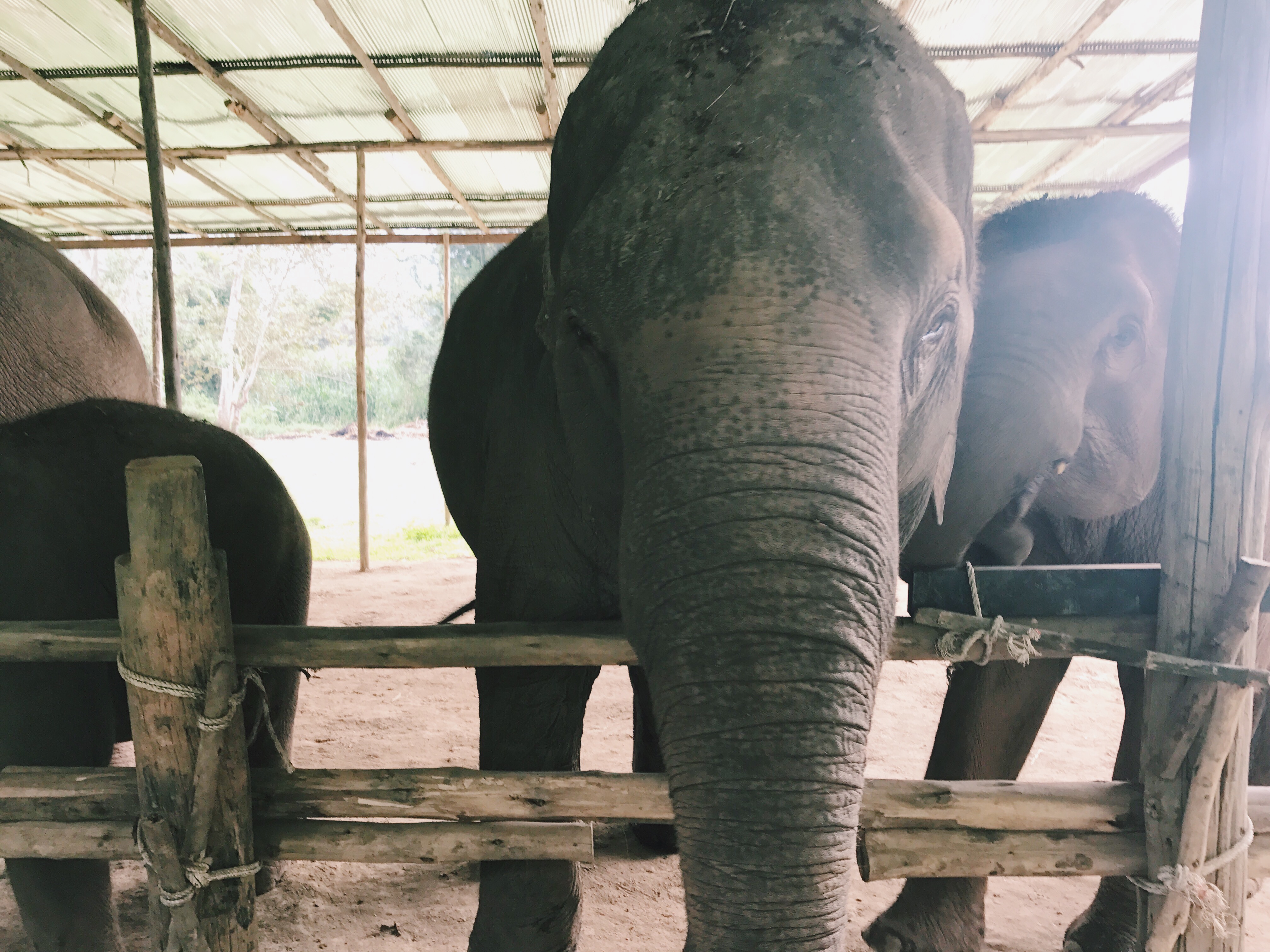 Processed with VSCO with c1 preset