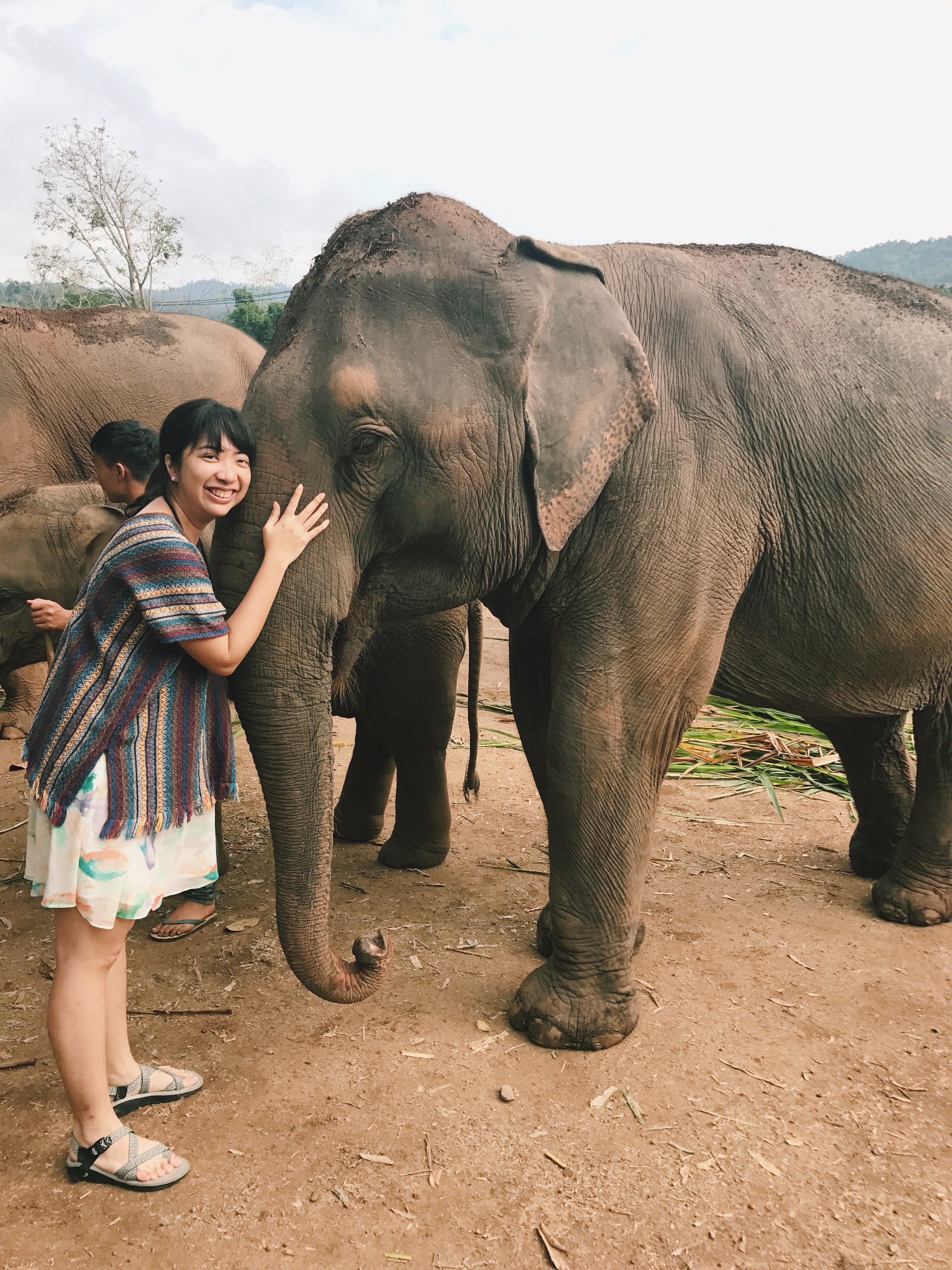 Processed with VSCO with c1 preset