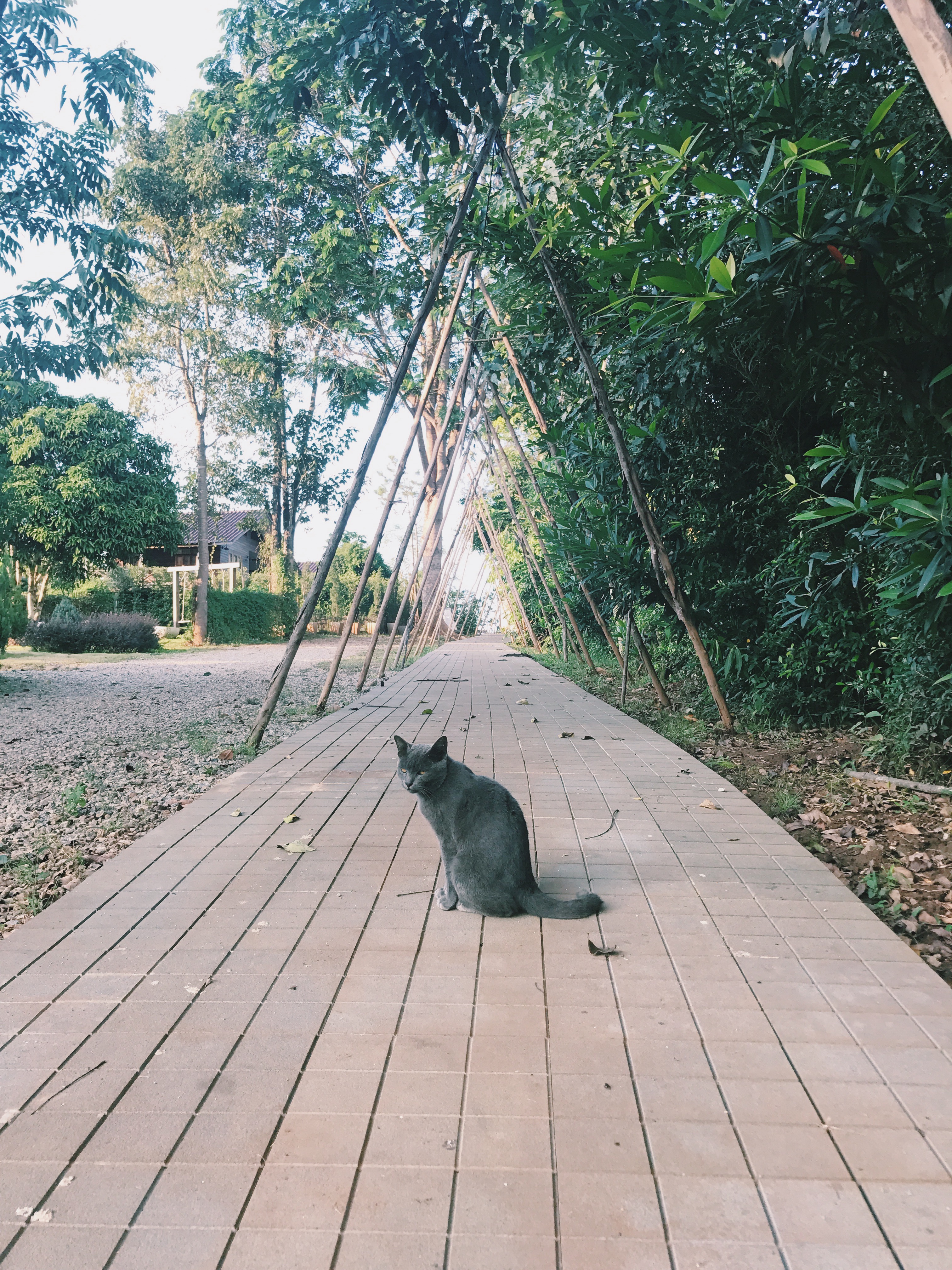 Processed with VSCO with c1 preset