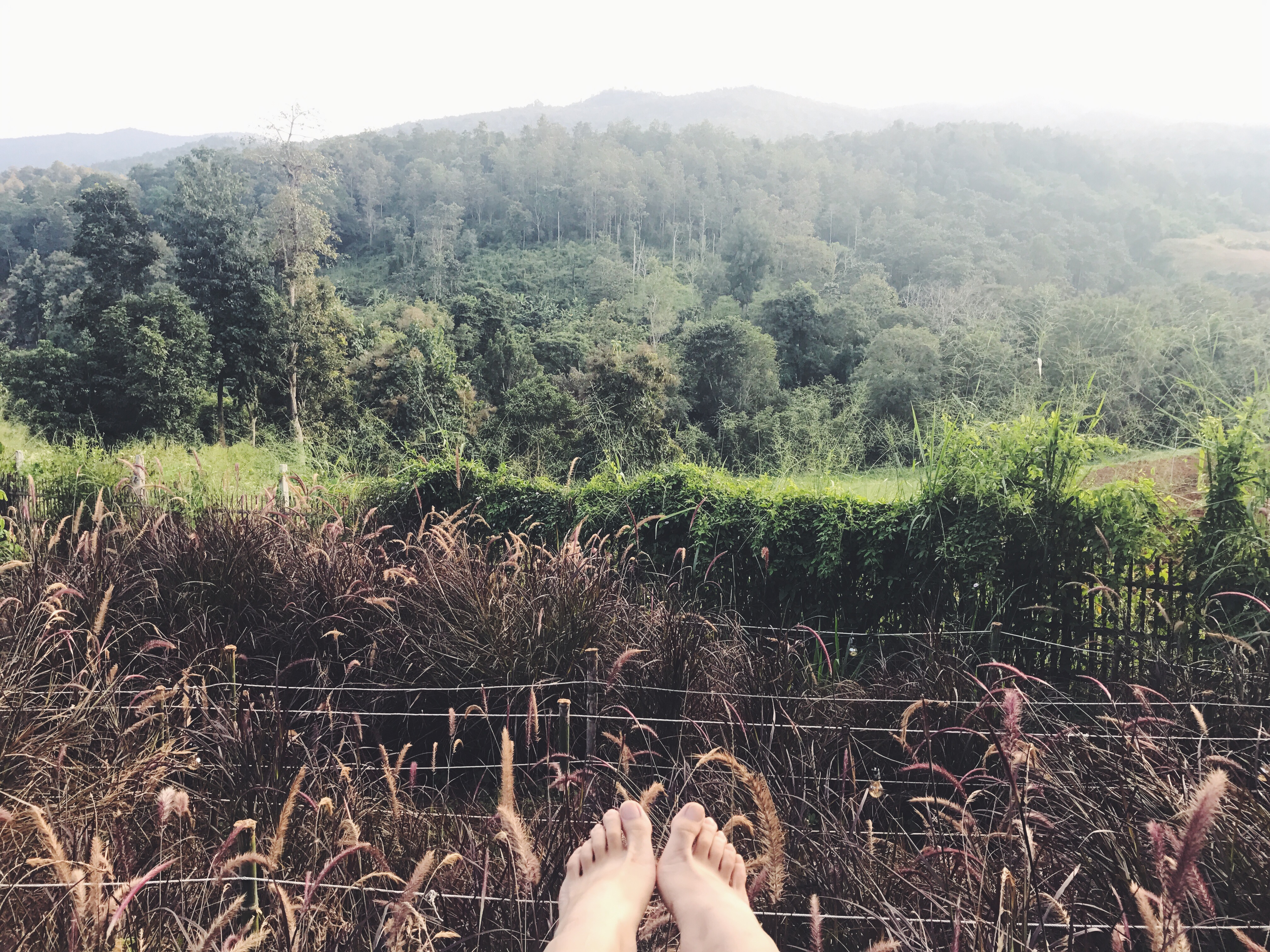 Processed with VSCO with f2 preset