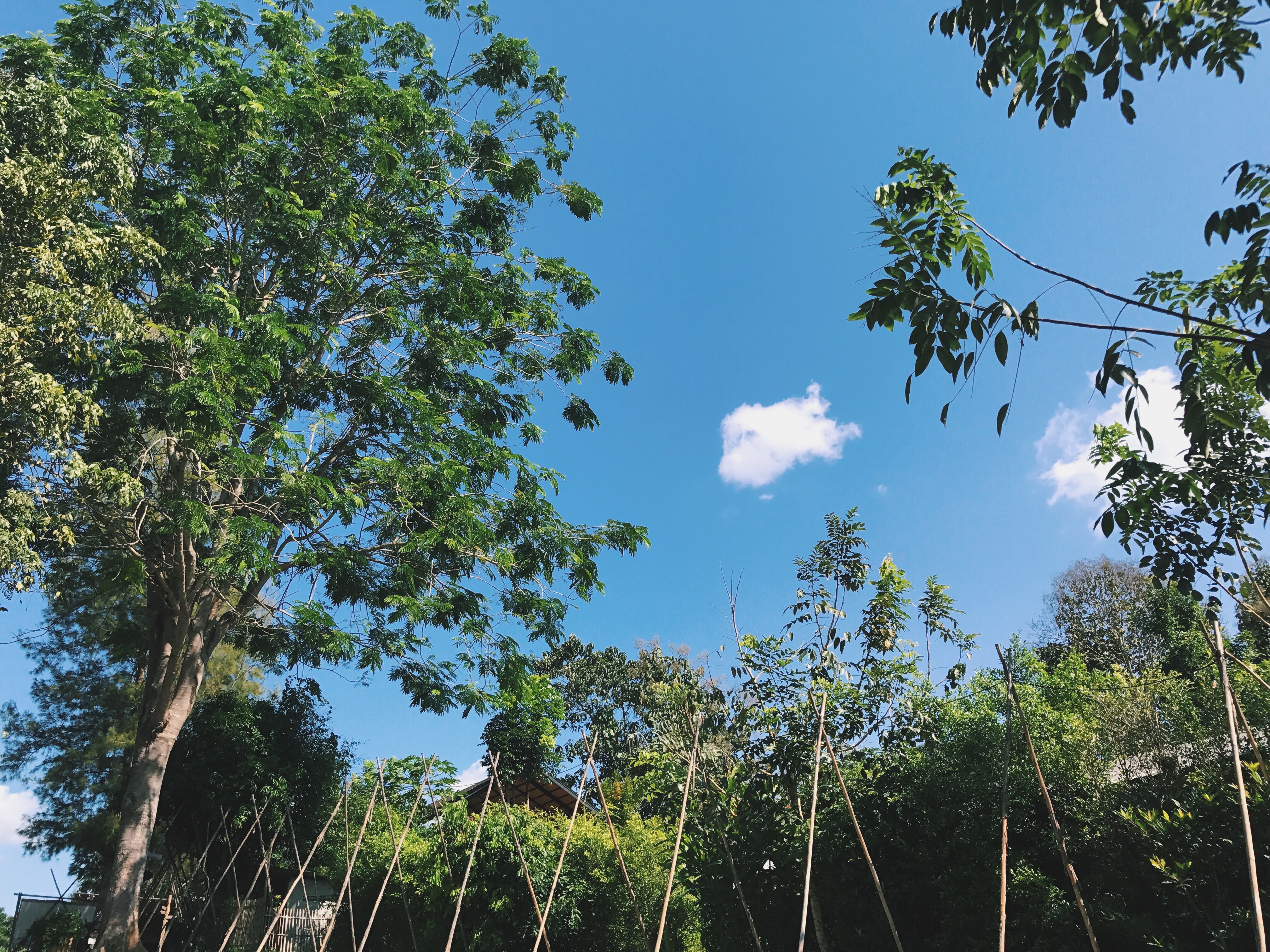 Processed with VSCO with c1 preset