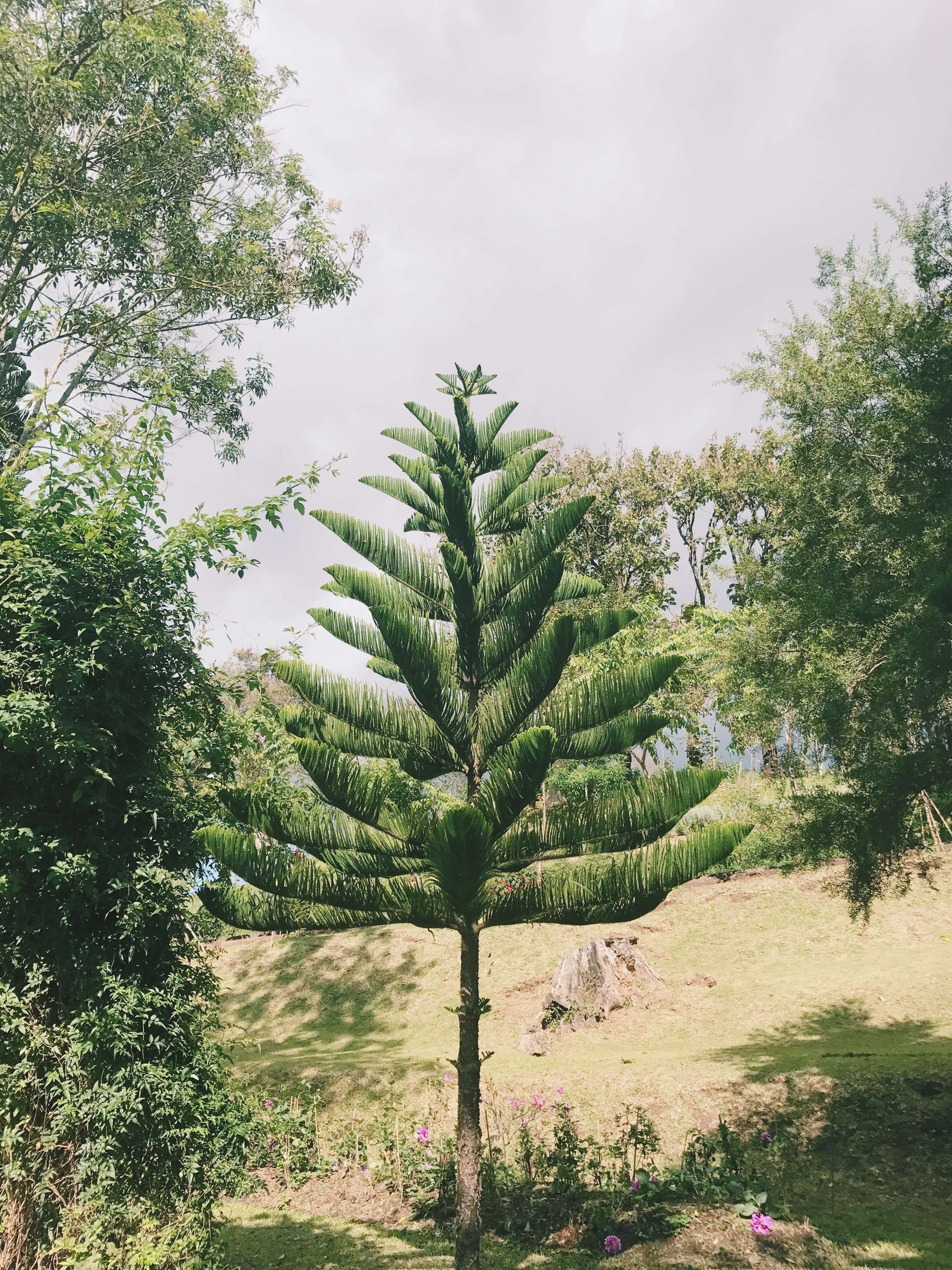 Processed with VSCO with c1 preset