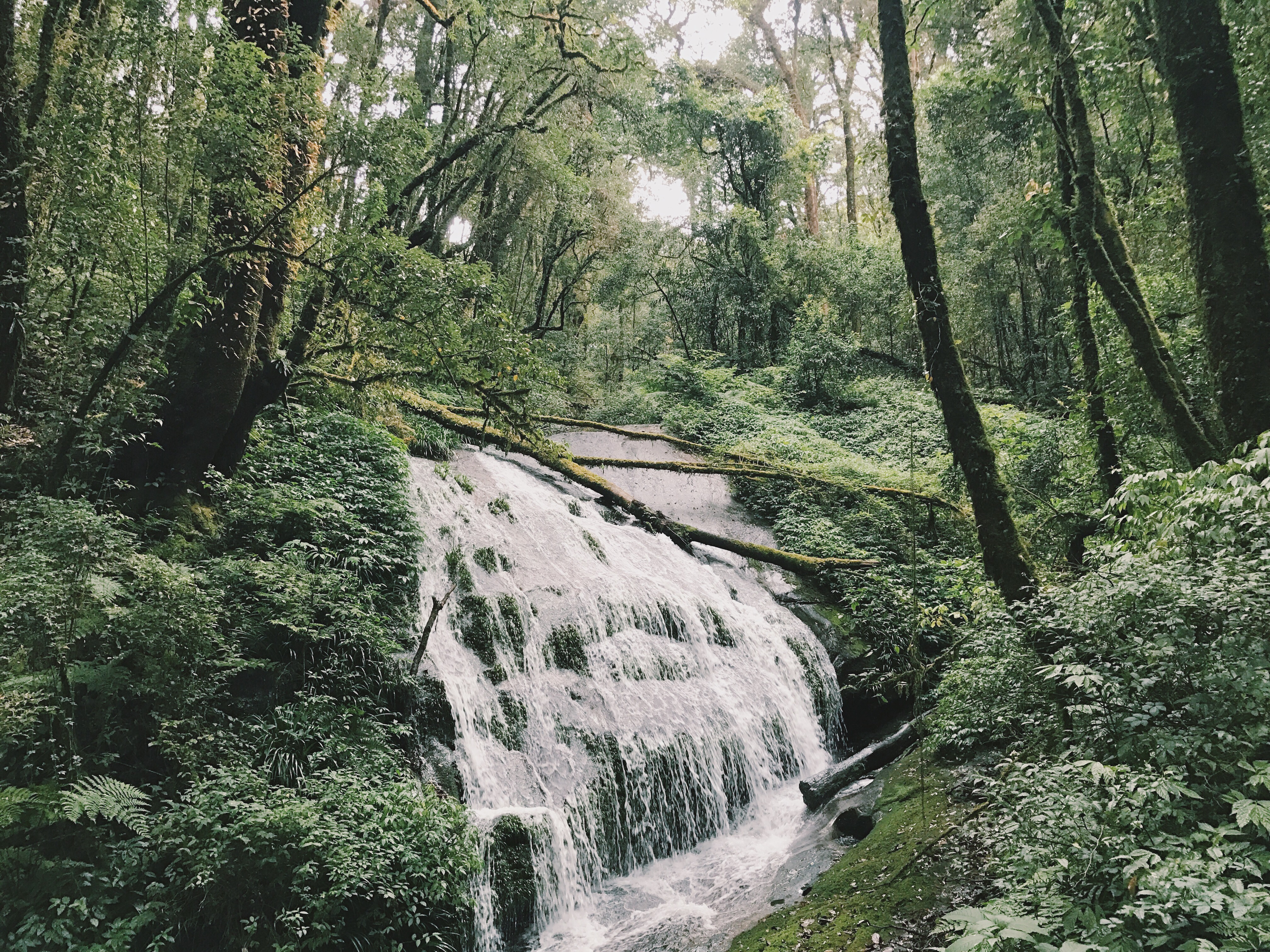 Processed with VSCO with c1 preset