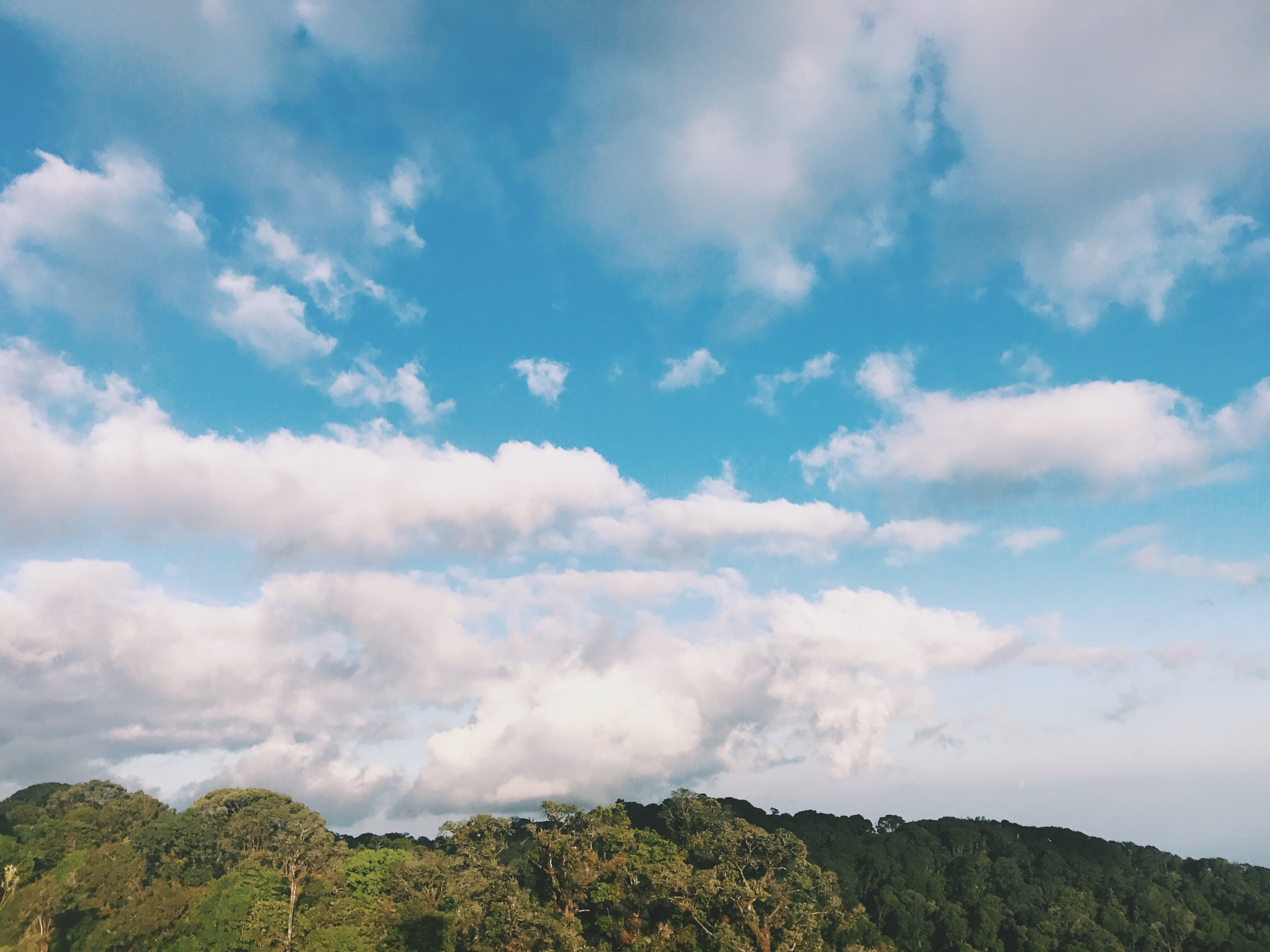 Processed with VSCO with c1 preset