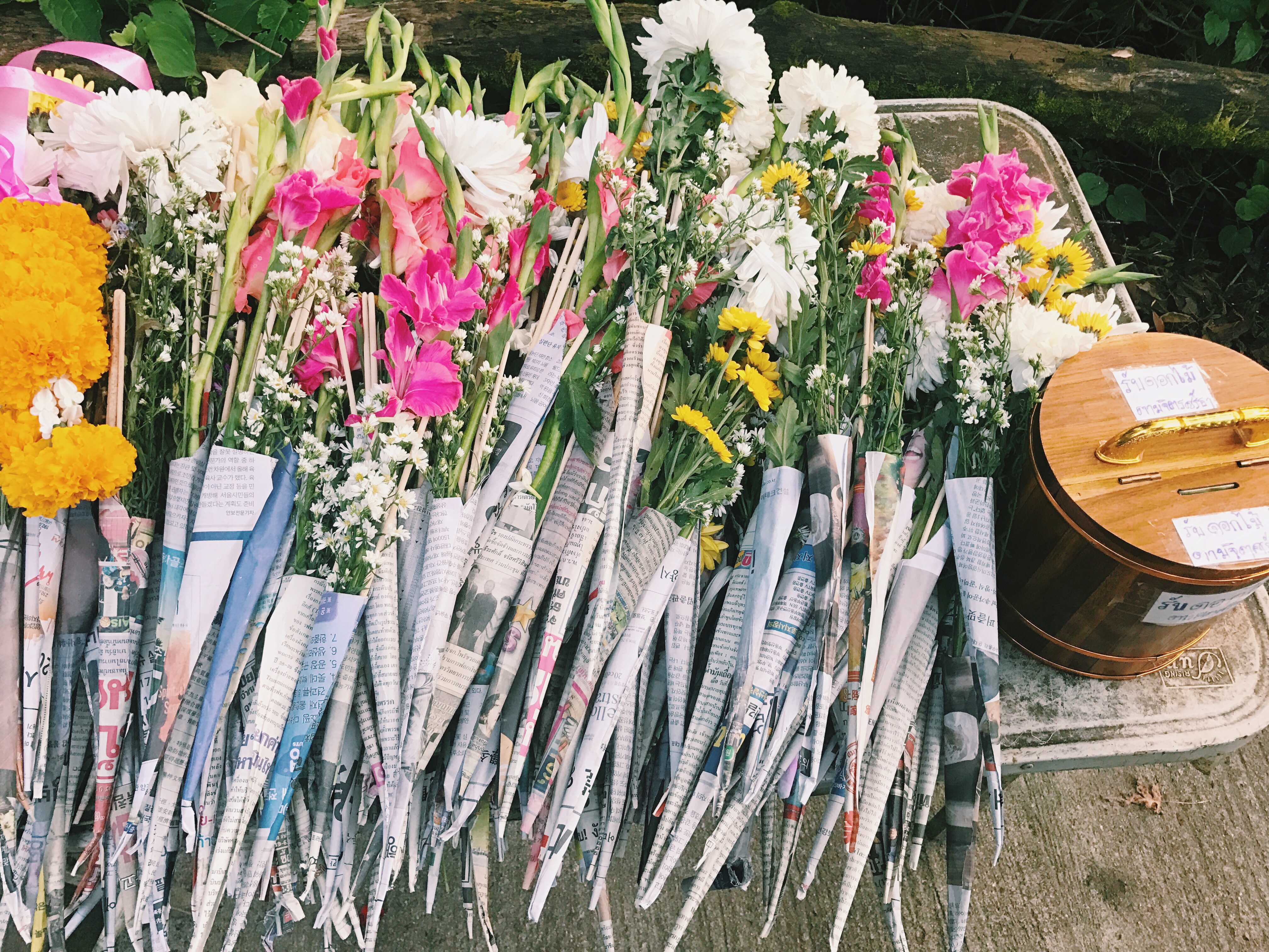 Processed with VSCO with c1 preset