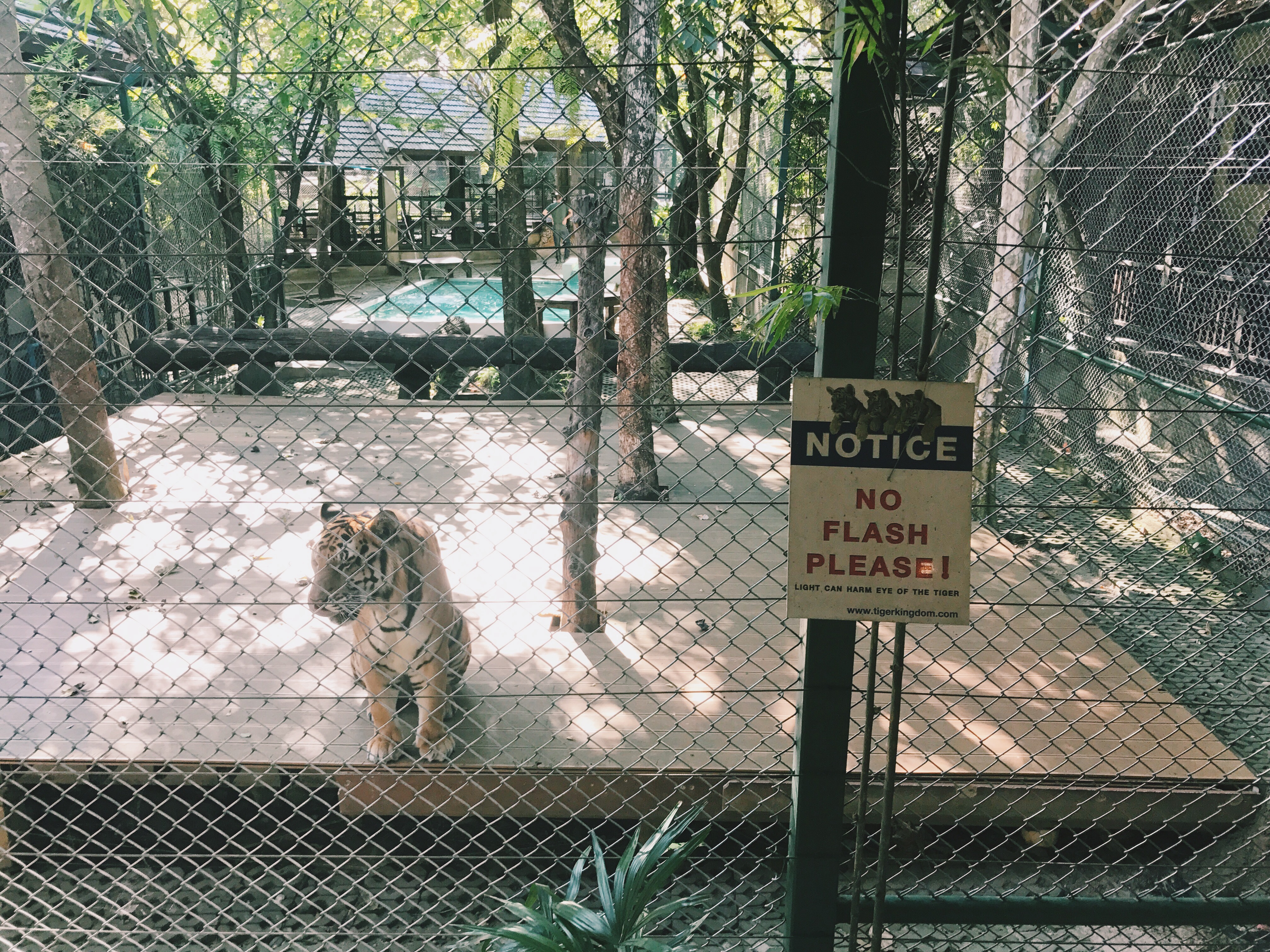 Processed with VSCO with c1 preset