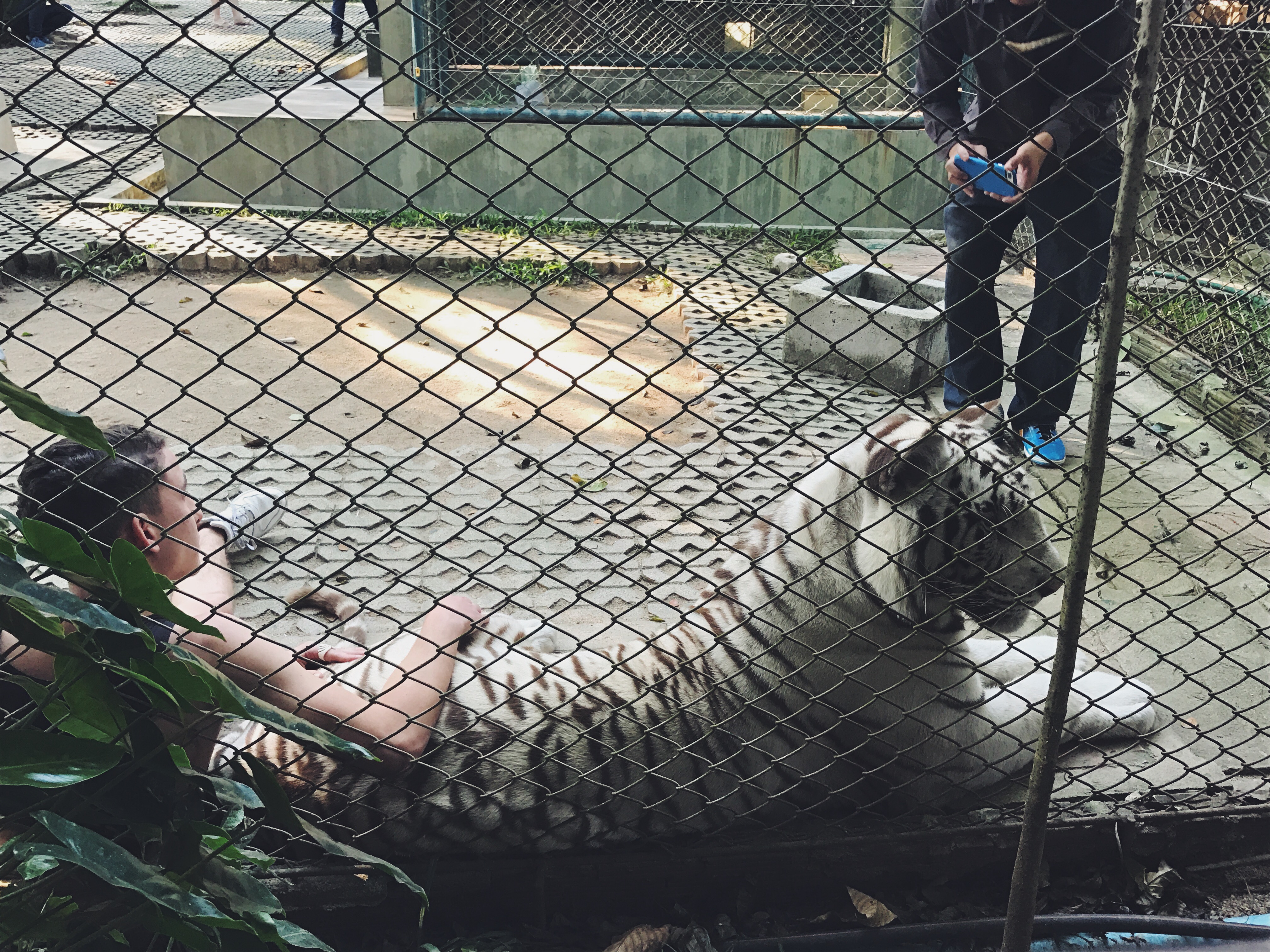 Processed with VSCO with f2 preset