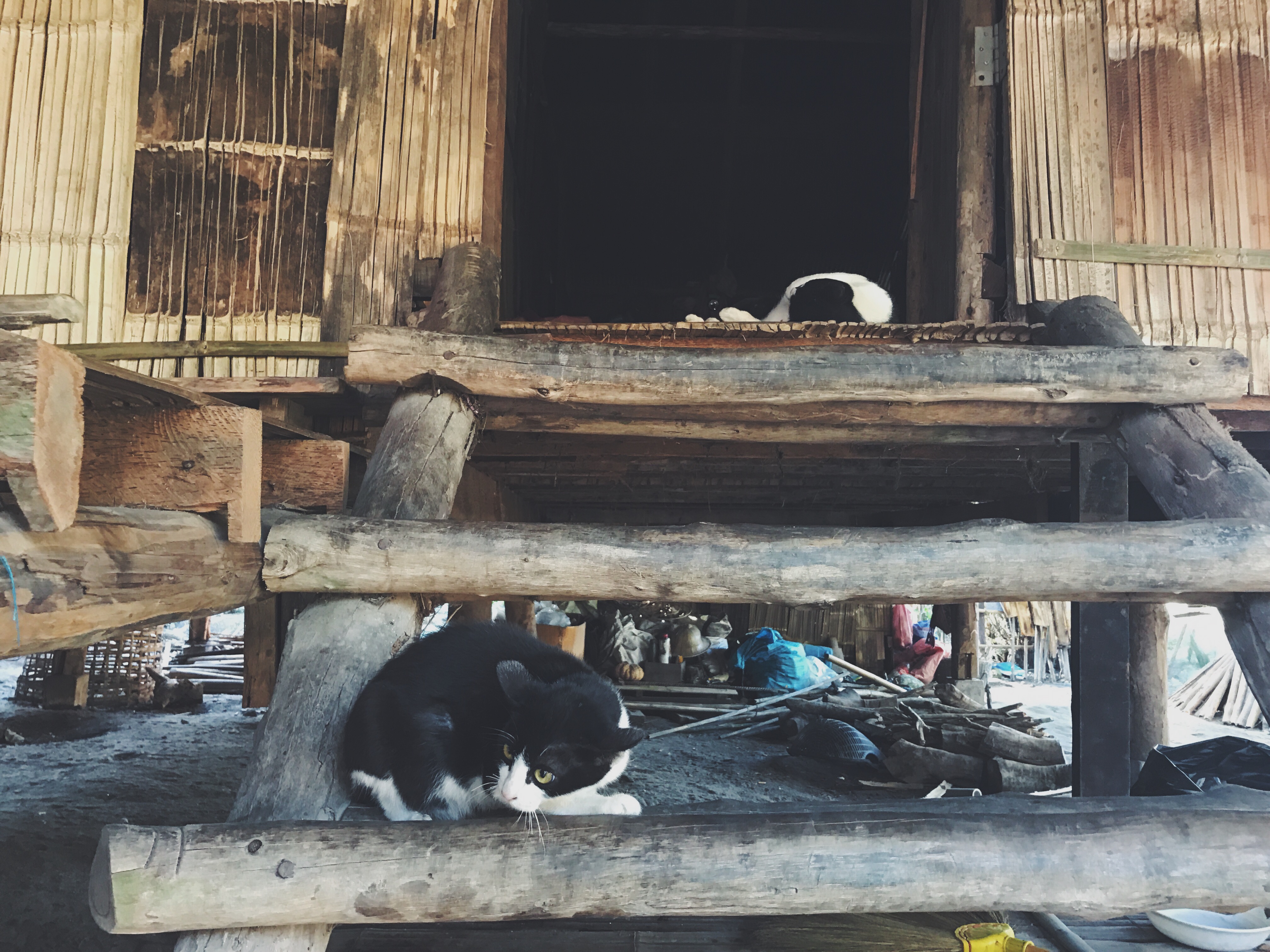 Processed with VSCO with f2 preset