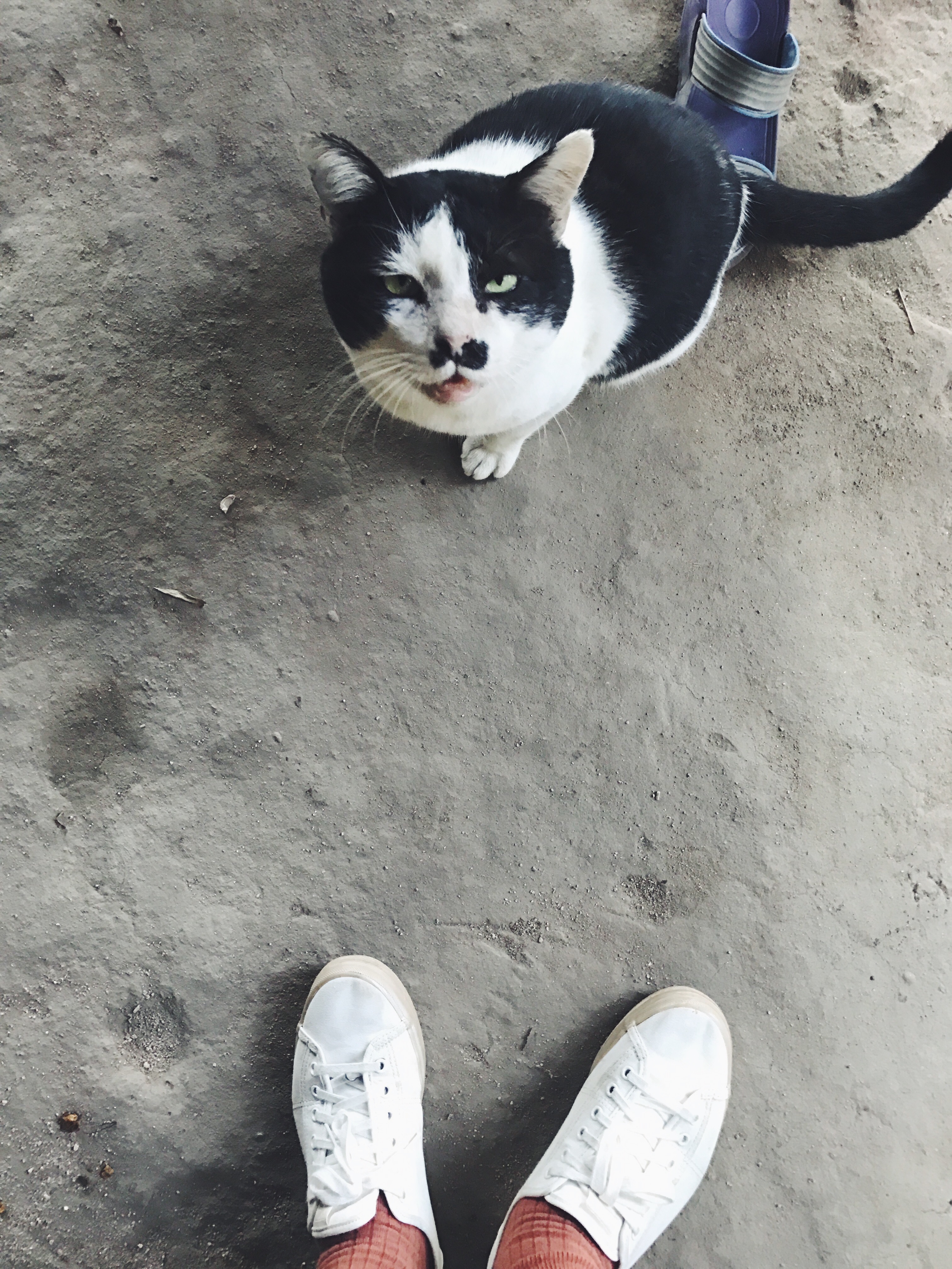 Processed with VSCO with f2 preset