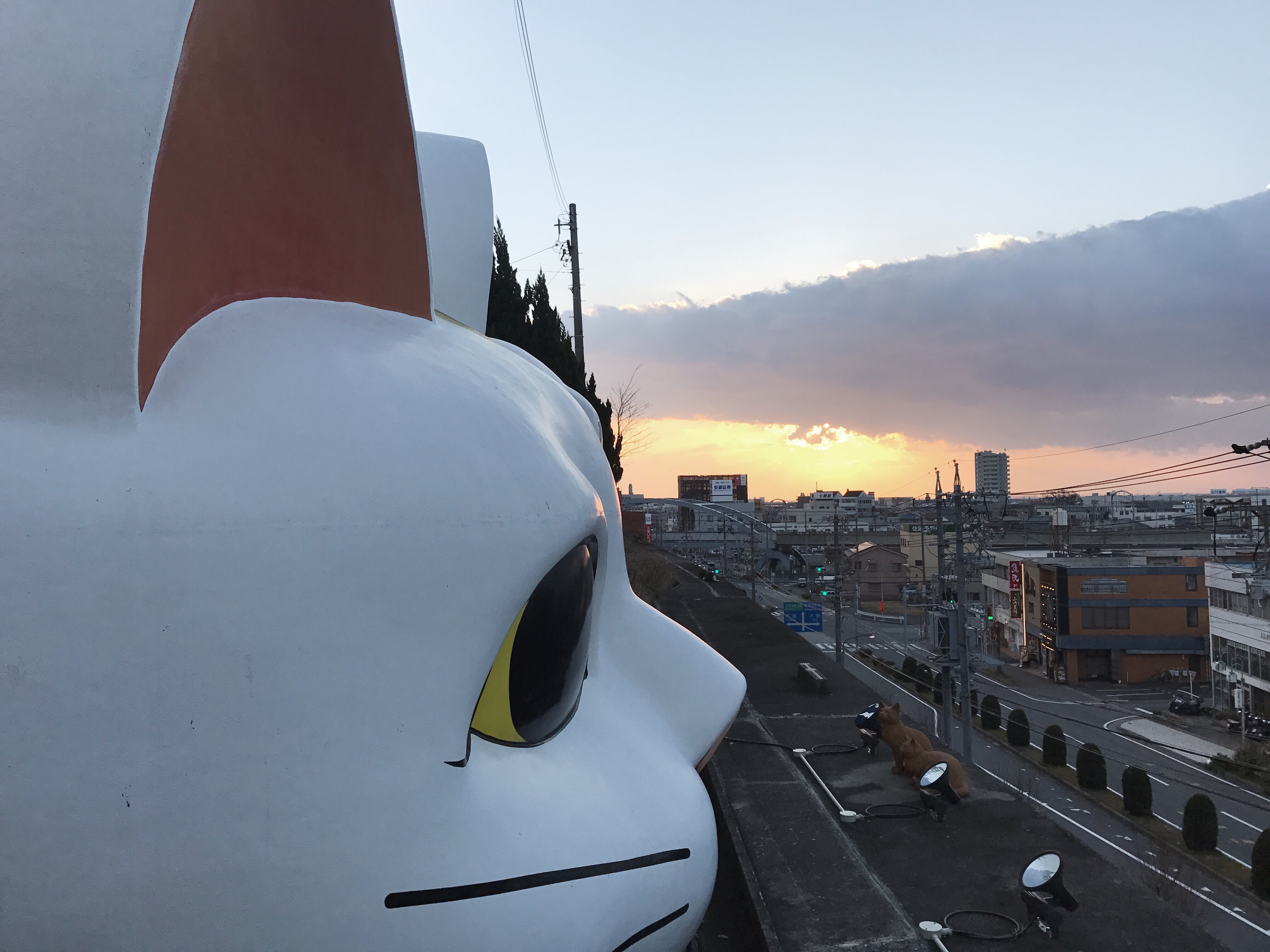 相片 2019-2-4 下午4 59 03