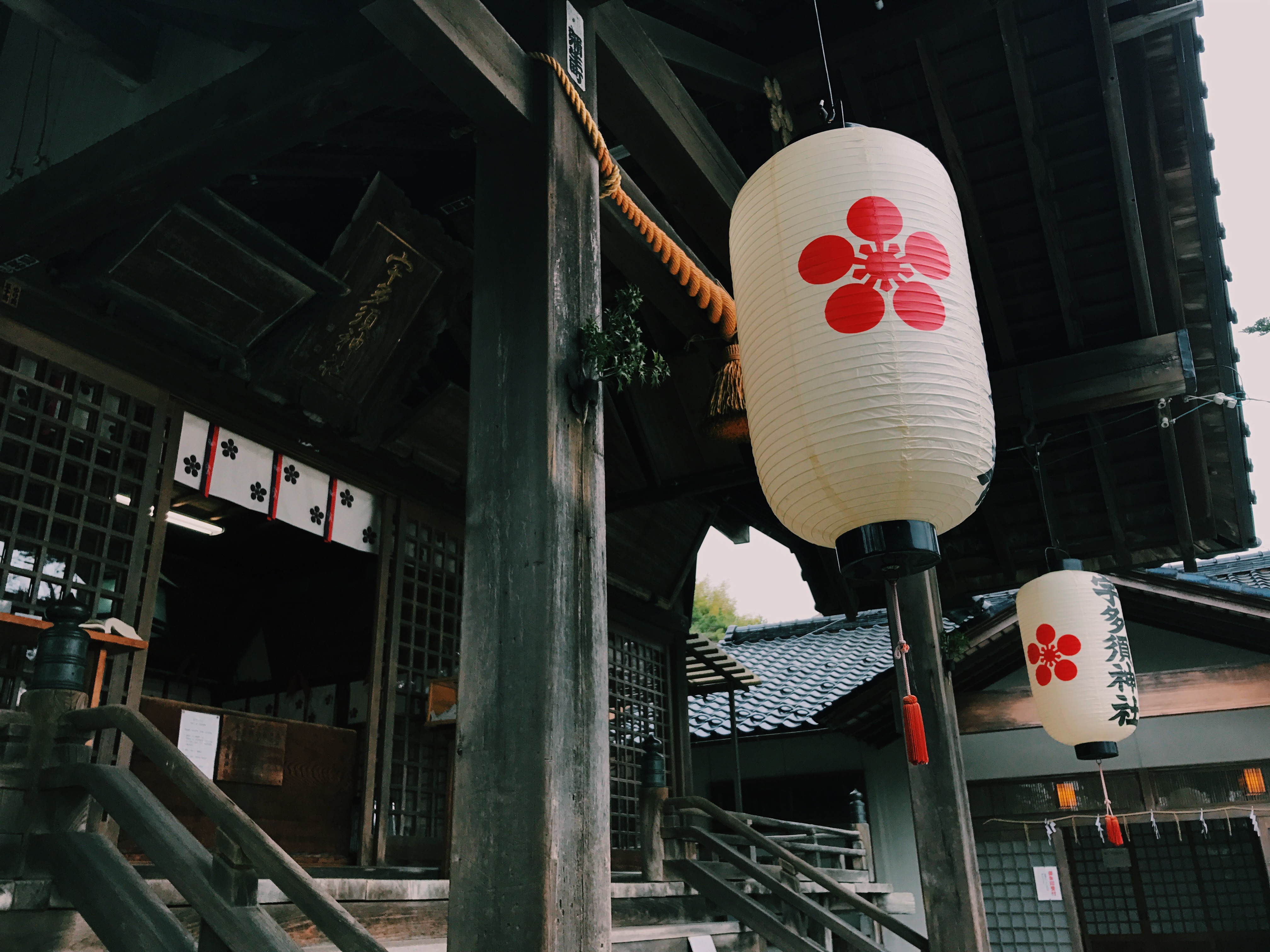 Processed with VSCO with c1 preset