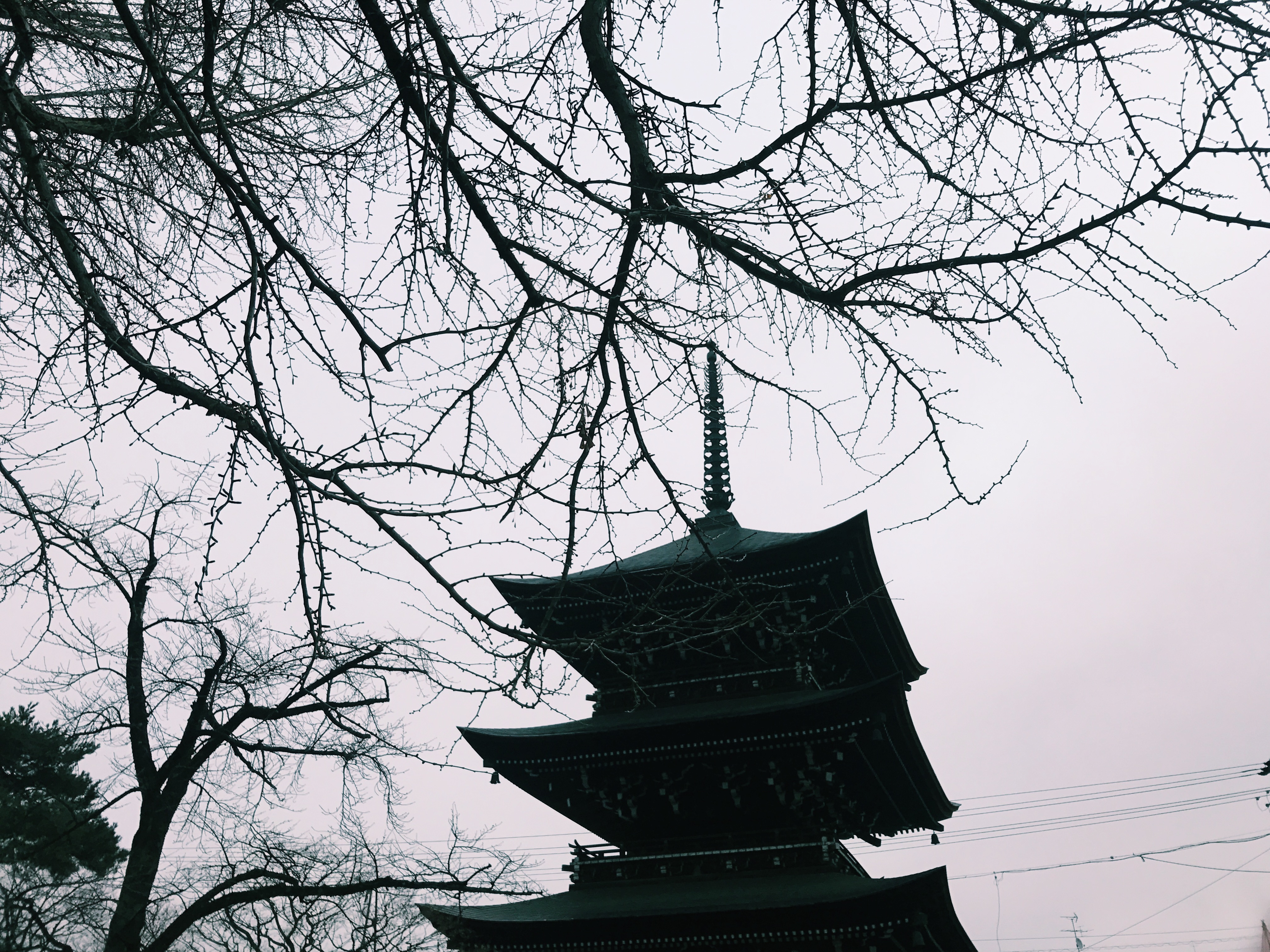 Processed with VSCO with c1 preset