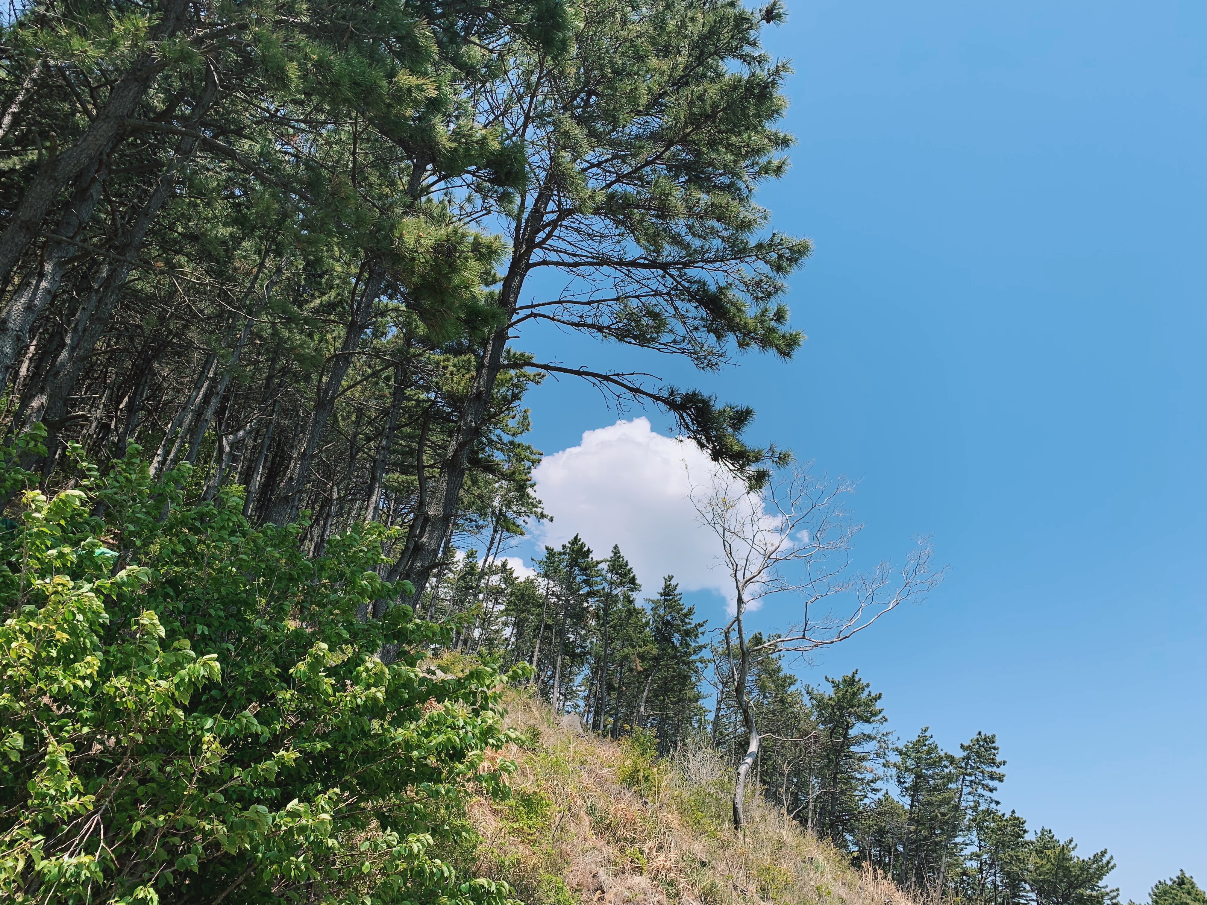 Processed with VSCO with c1 preset