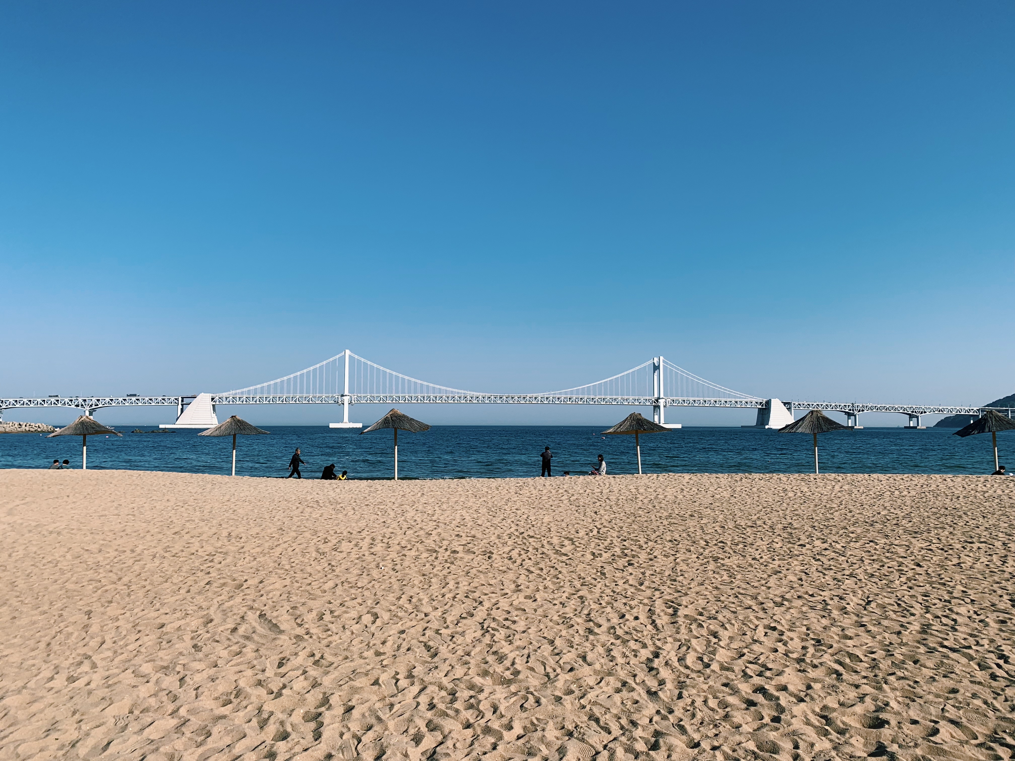 Processed with VSCO with c1 preset