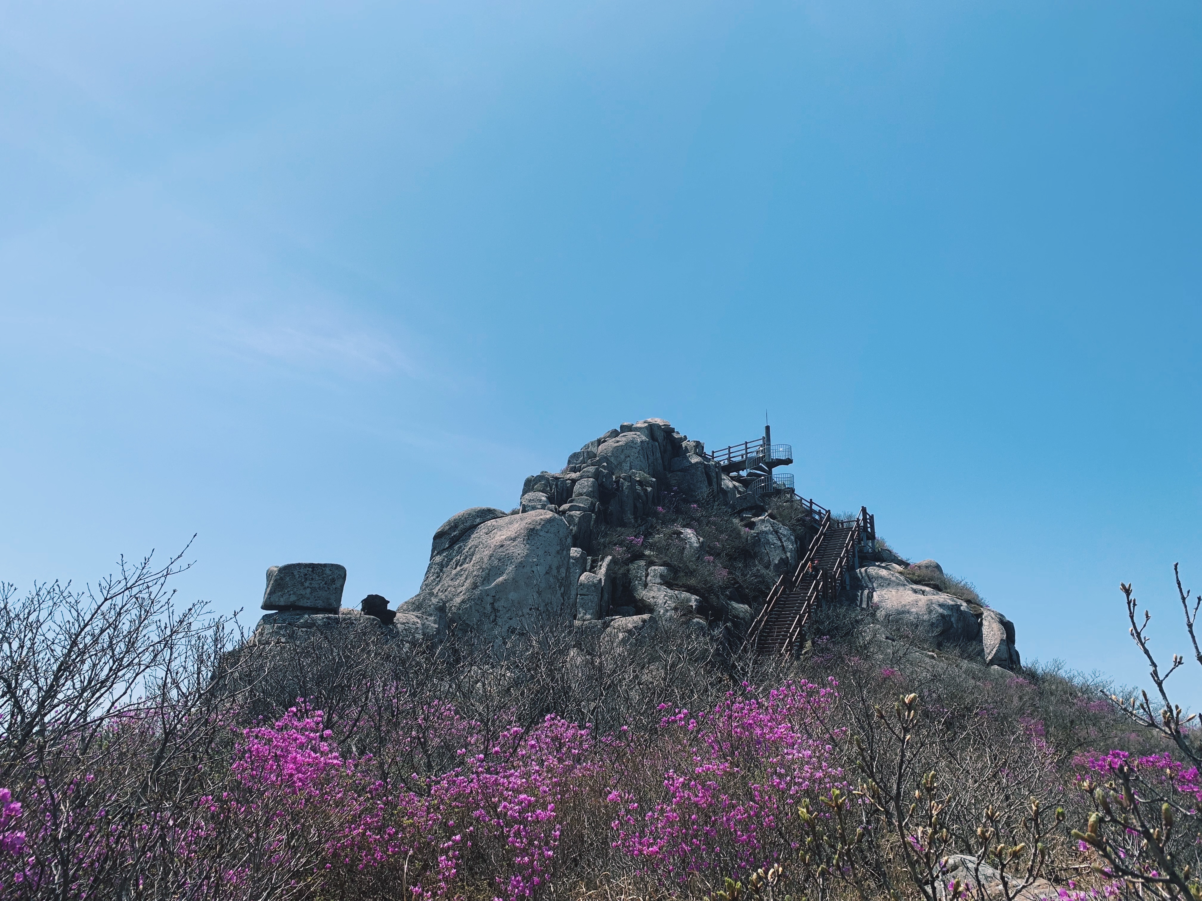 Processed with VSCO with c1 preset