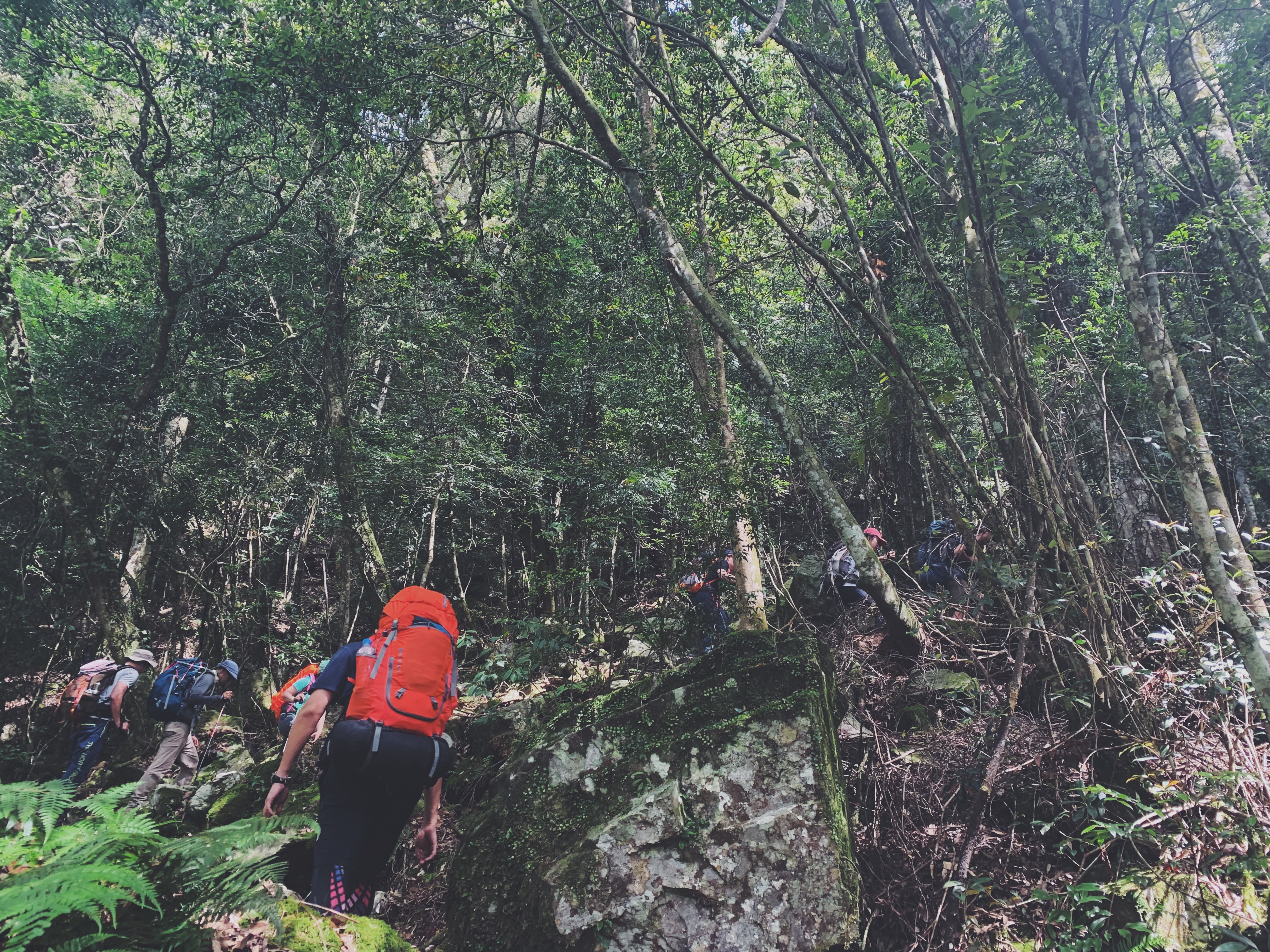 Processed with VSCO with f2 preset