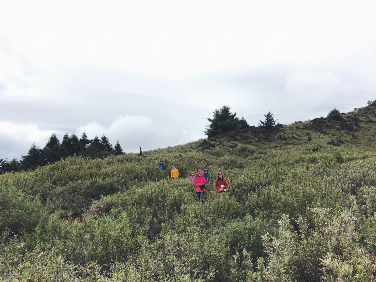 Processed with VSCO with f2 preset