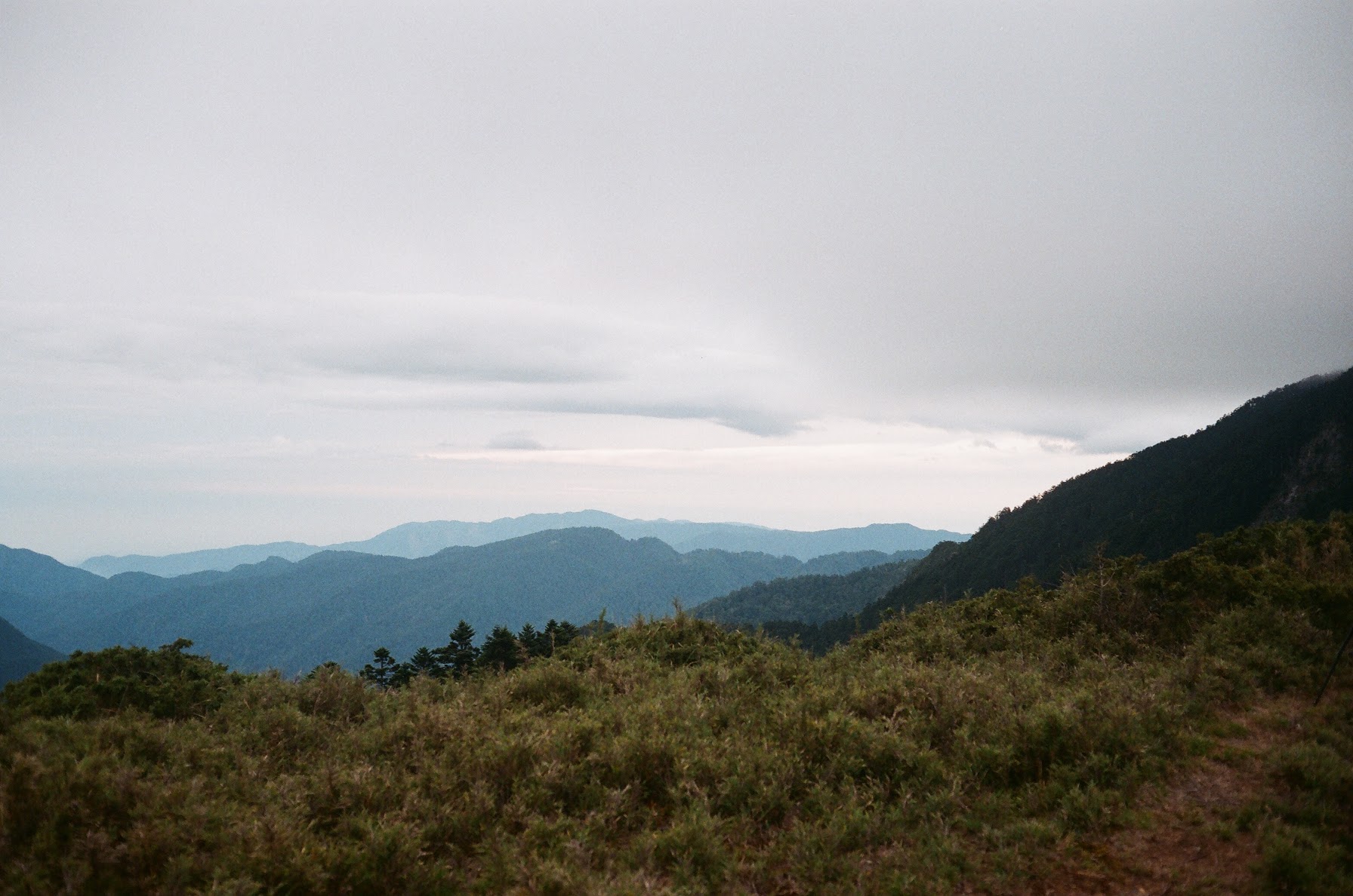 相片 2019-7-2 下午10 06 29