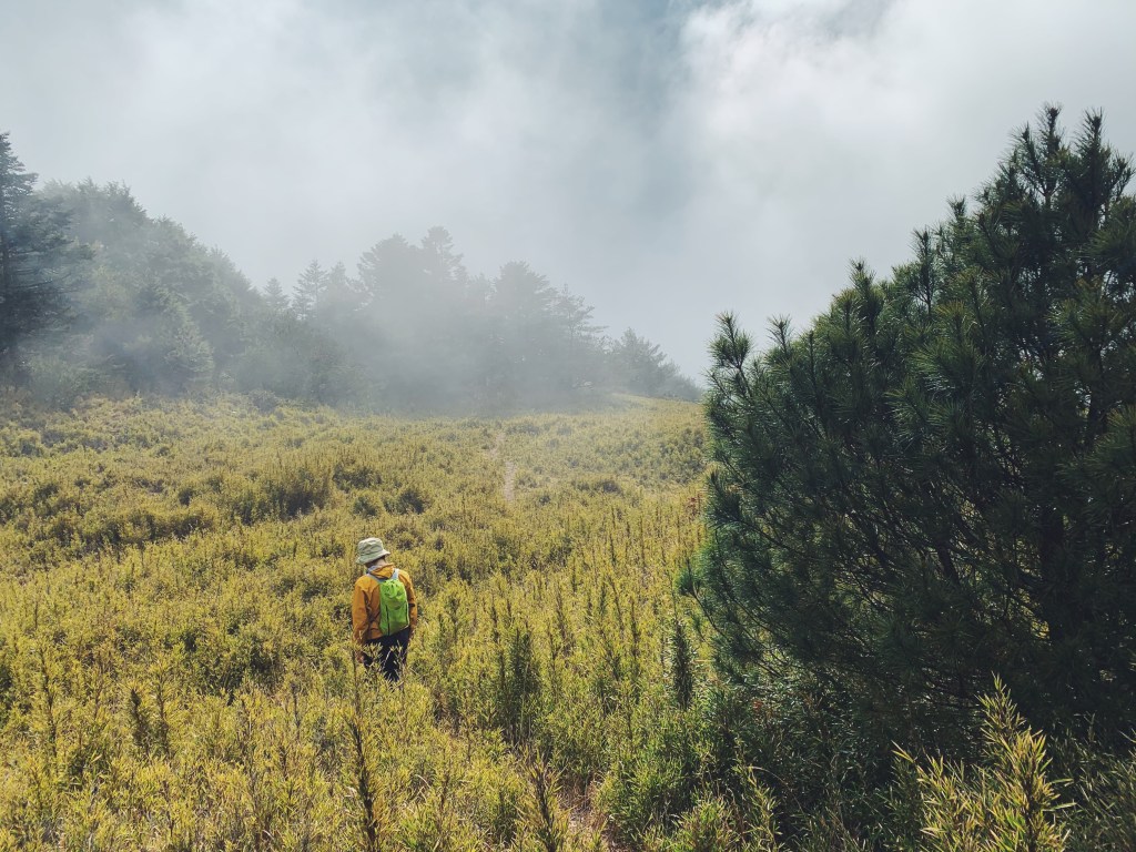 群山綿延的青翠草原之北二段 – 鈴鳴山和閂山