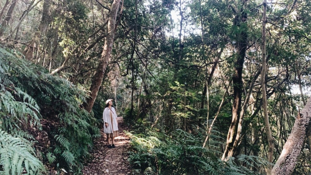 入關沐浴山林初見松媽媽 – 瓦浪（Walang）露營休閒農場